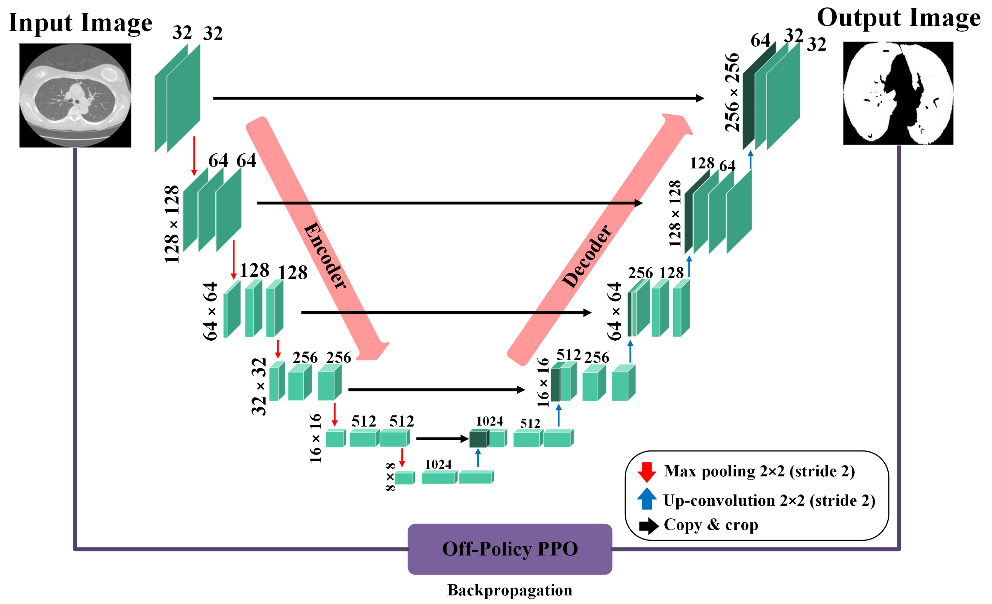 Diagnostics 14 02604 g002