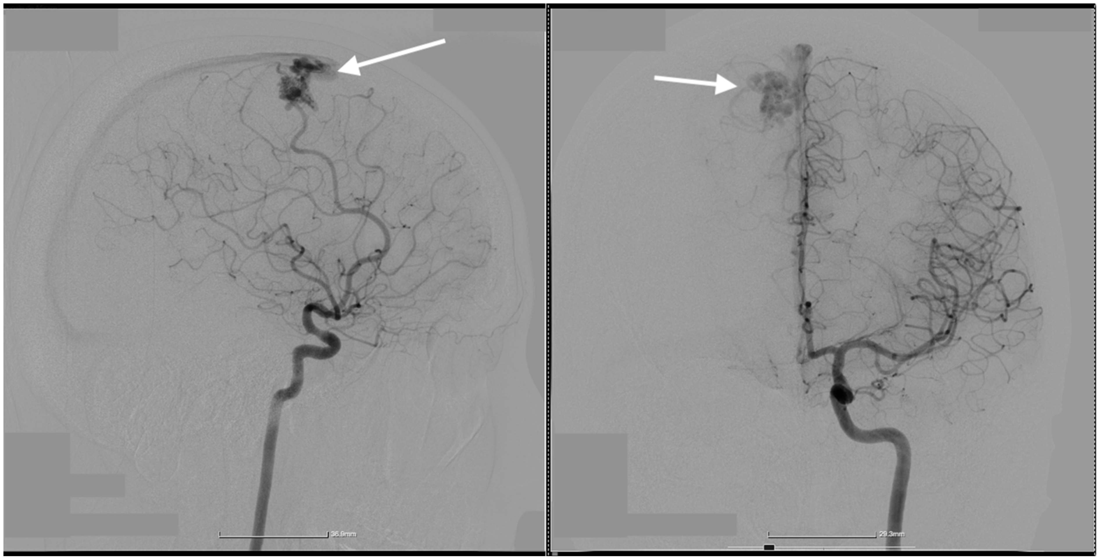 Diagnostics 14 02613 g002