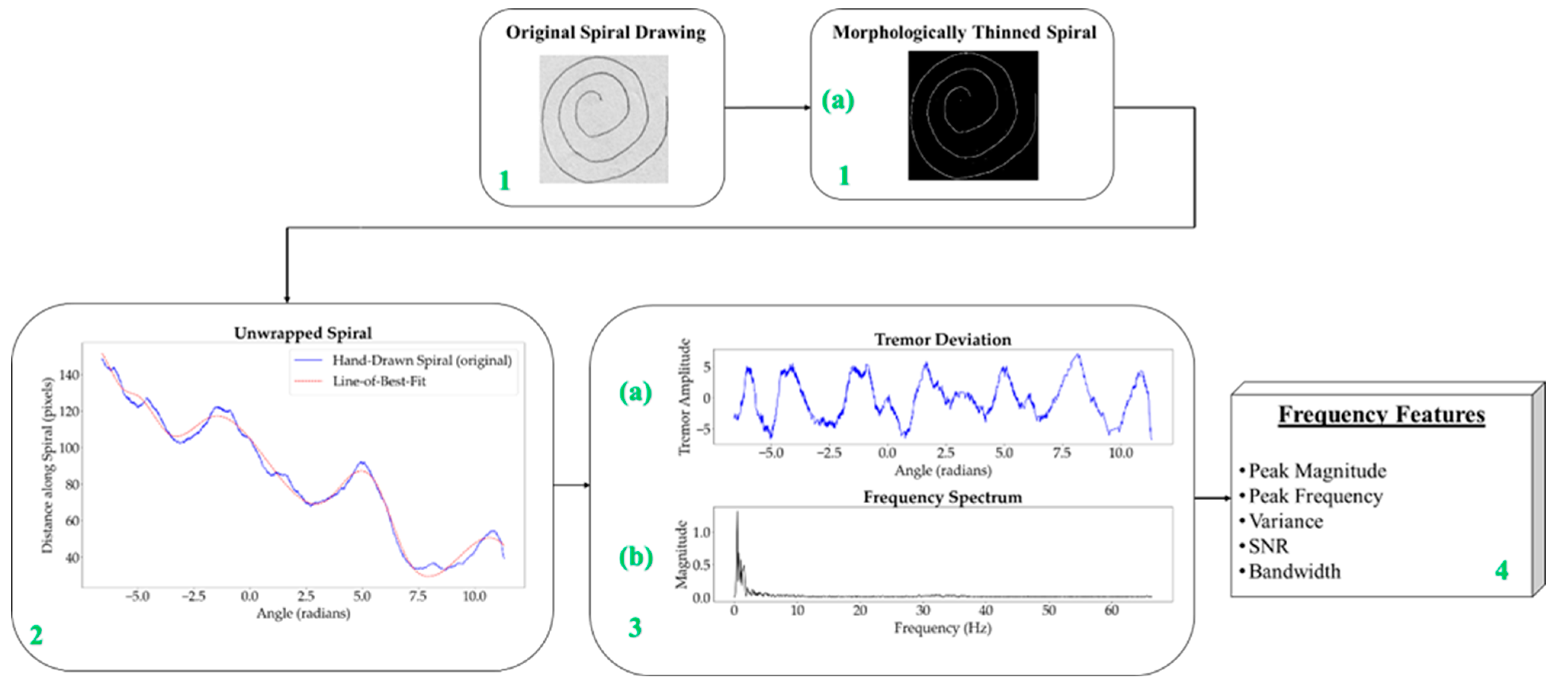 Diagnostics 14 02615 g003