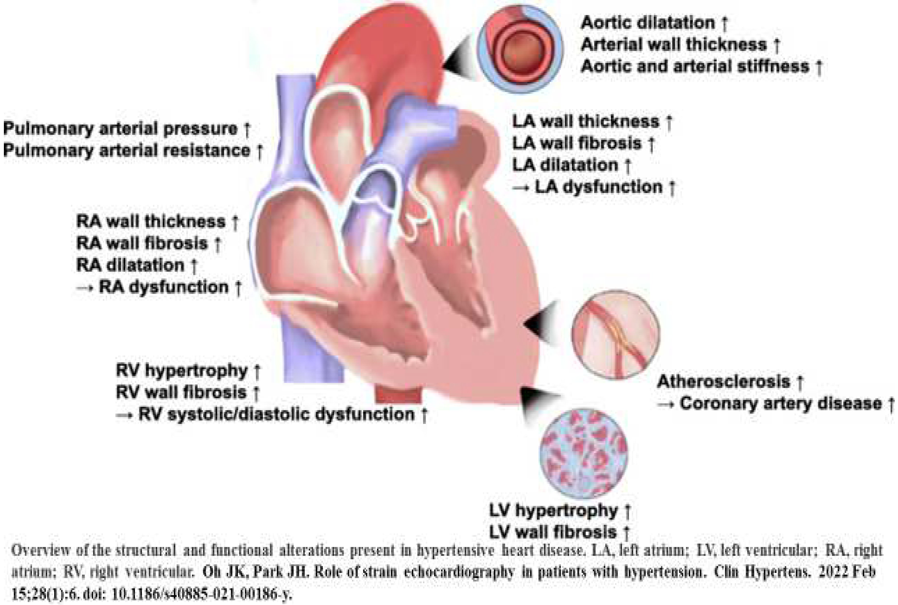 Diagnostics 14 02618 g002 Diagnostics 14 02618 g002