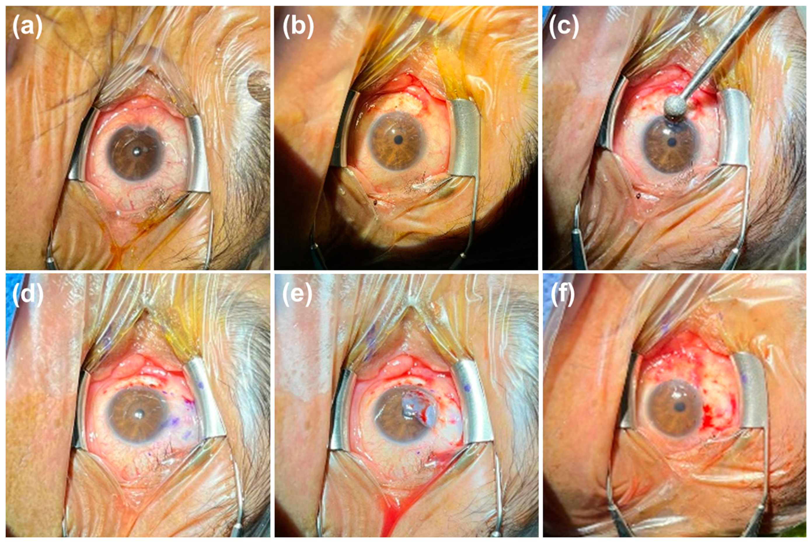 Diagnostics 14 02619 g003