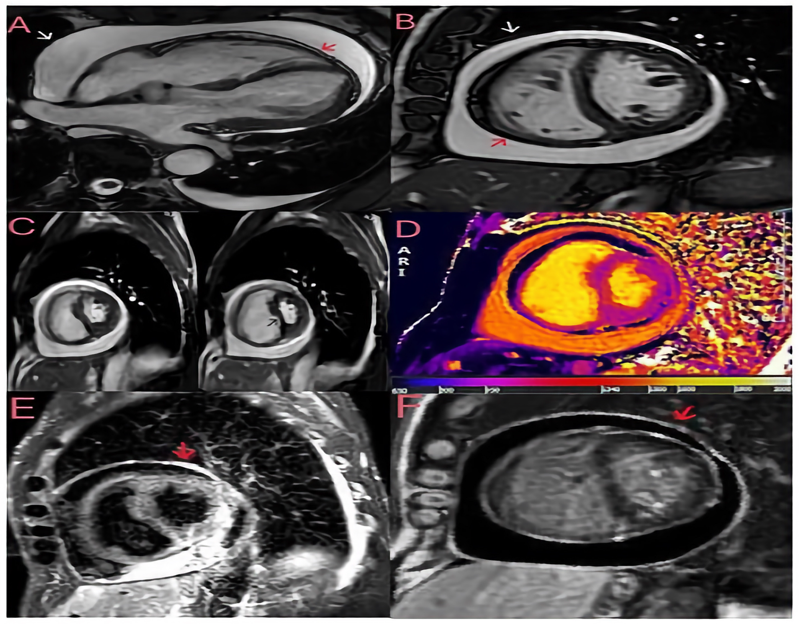 Diagnostics 14 02642 g002