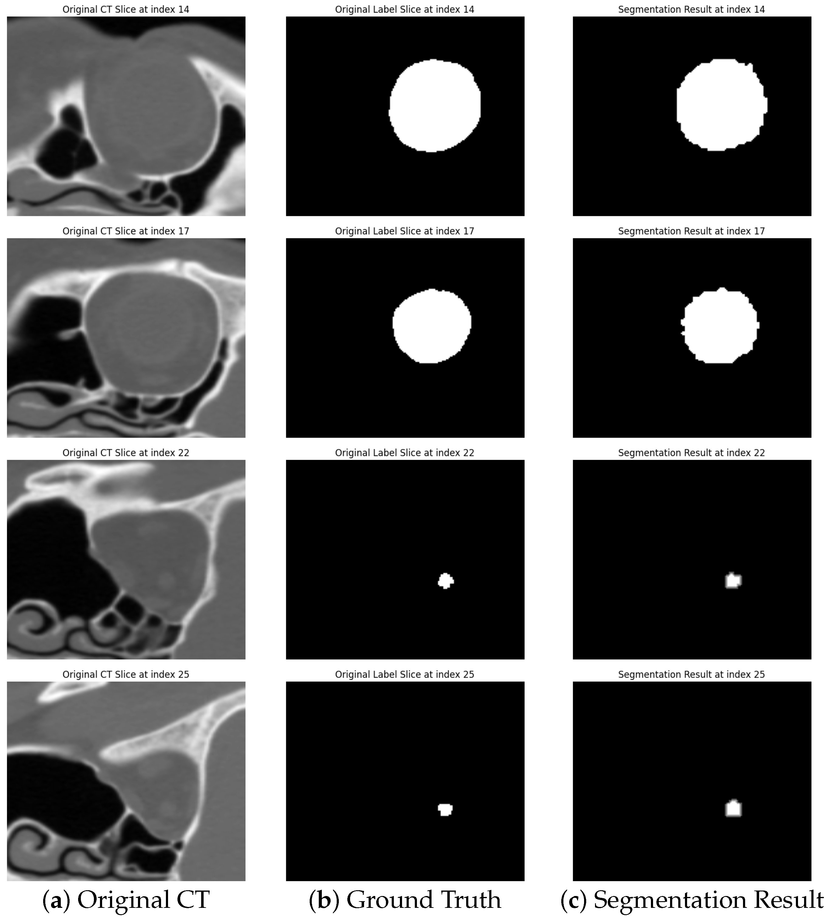 Diagnostics 14 02643 g002