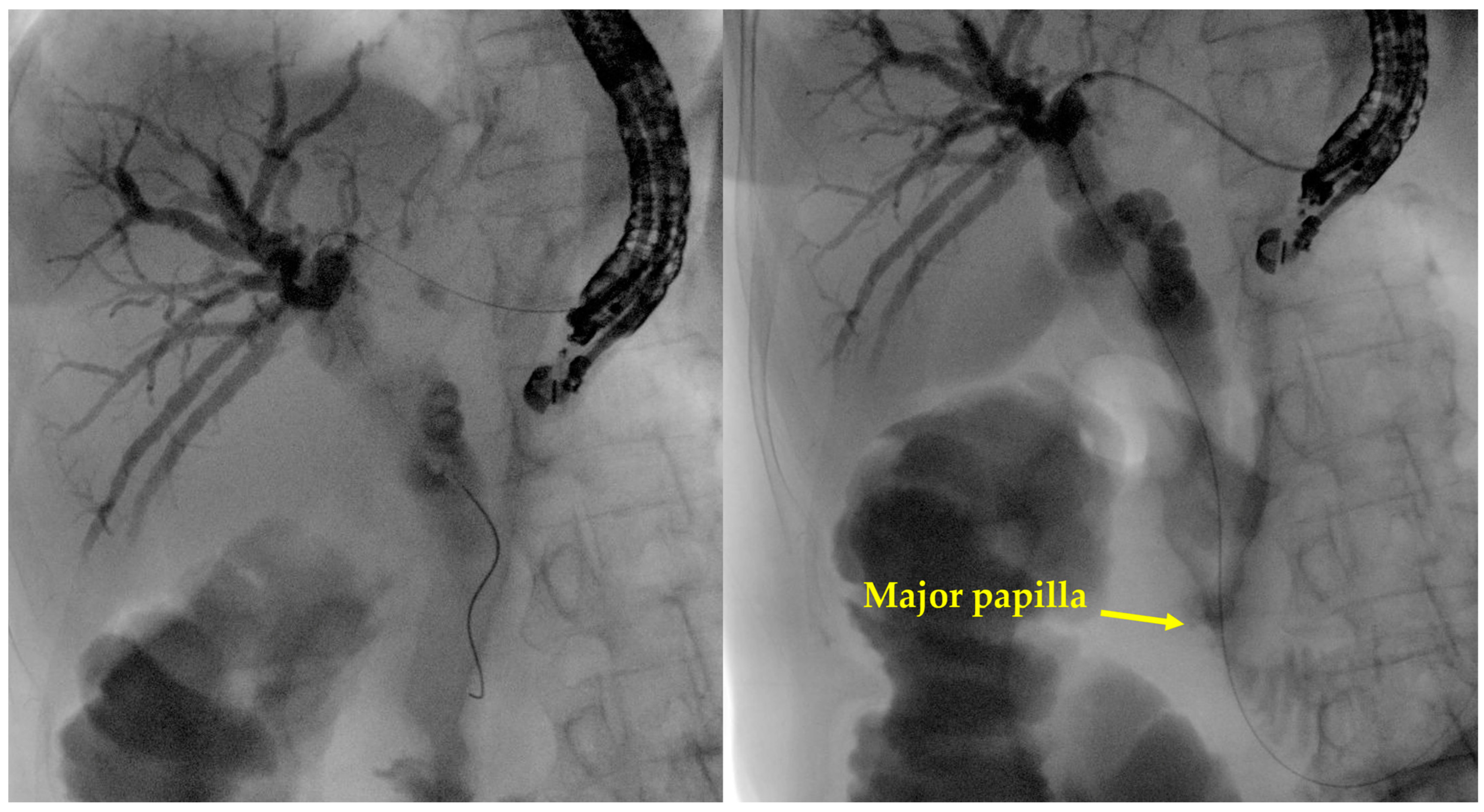Diagnostics 14 02644 g002