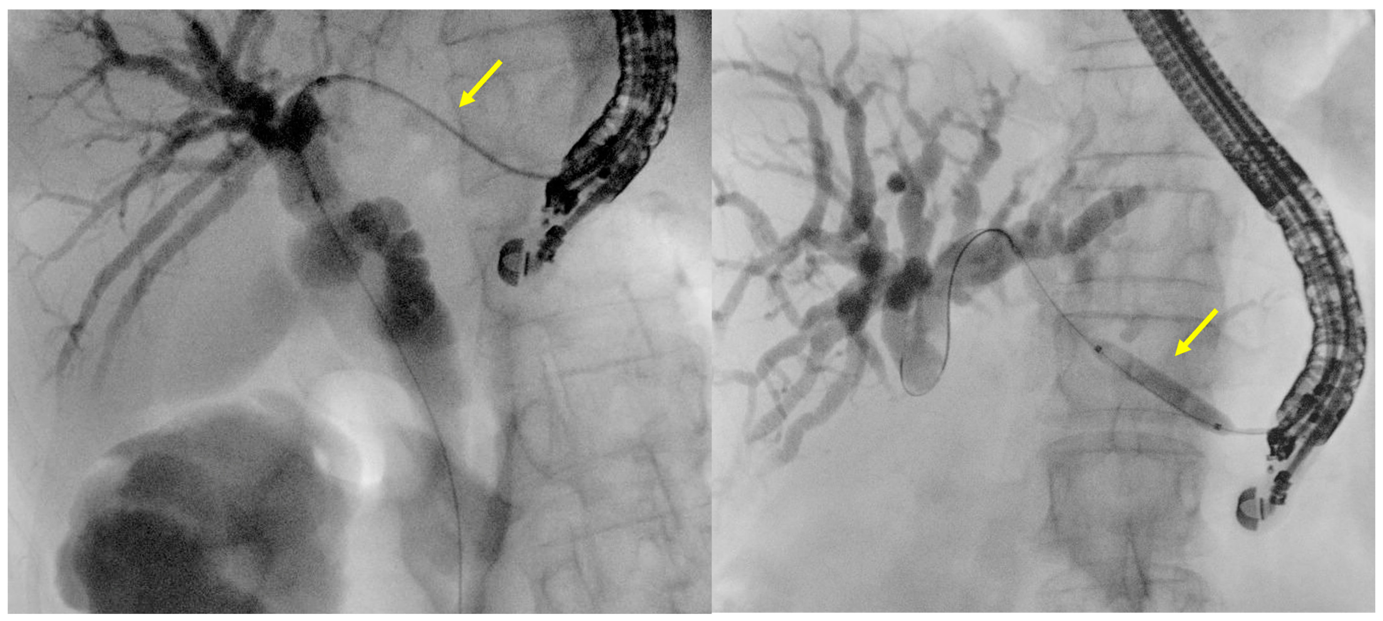 Diagnostics 14 02644 g003