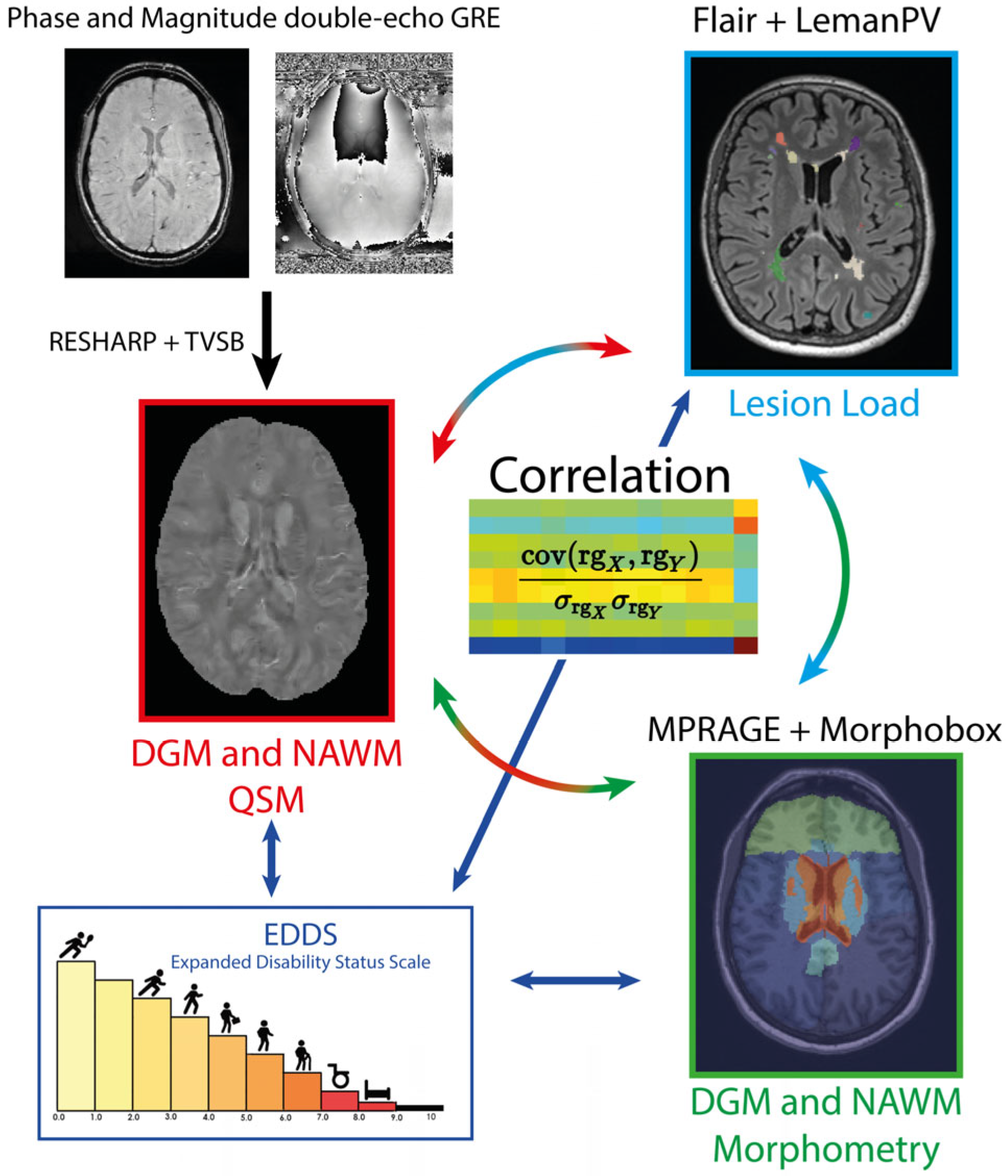 Diagnostics 14 02669 g001