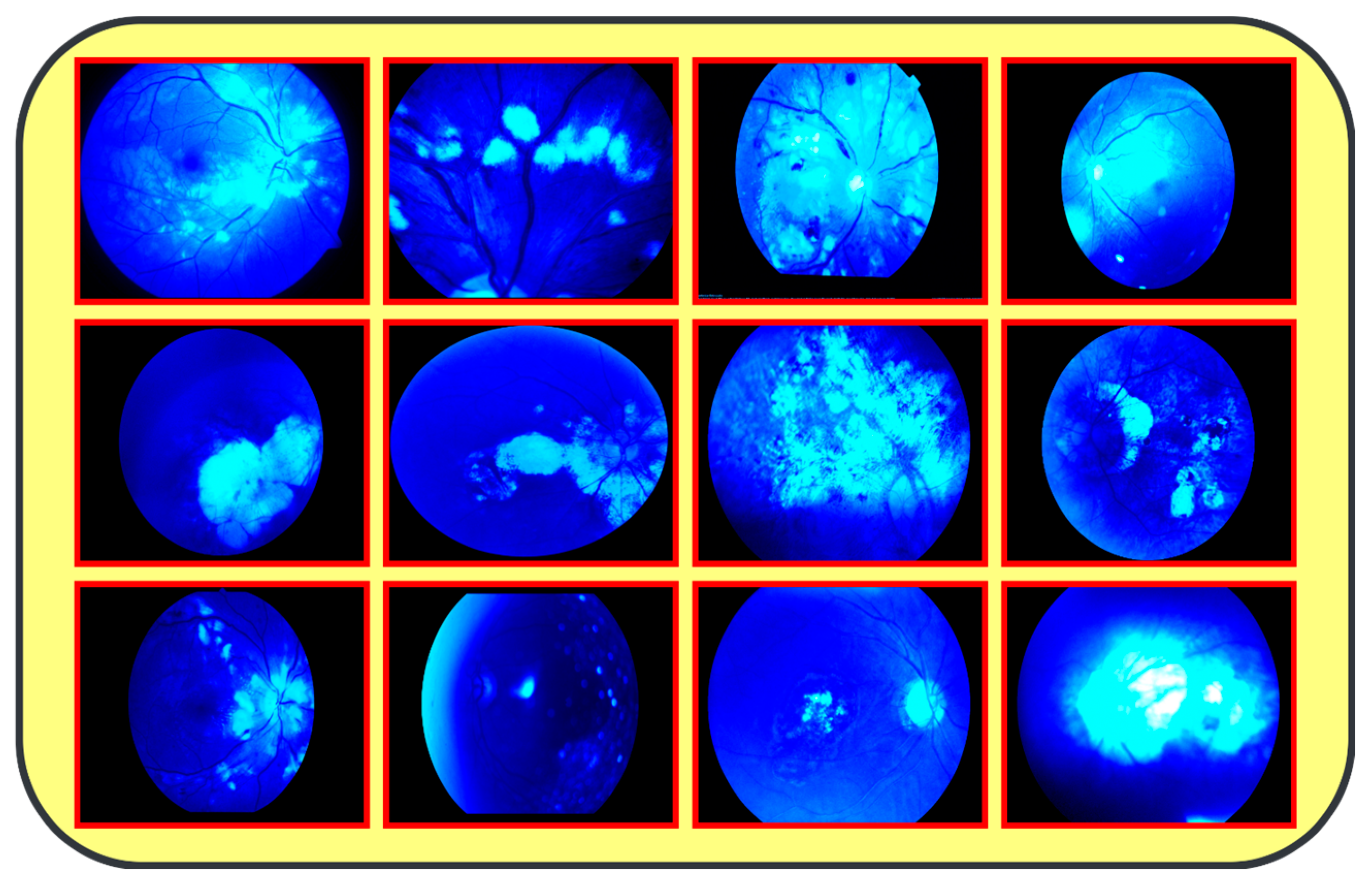Diagnostics 14 02679 g003