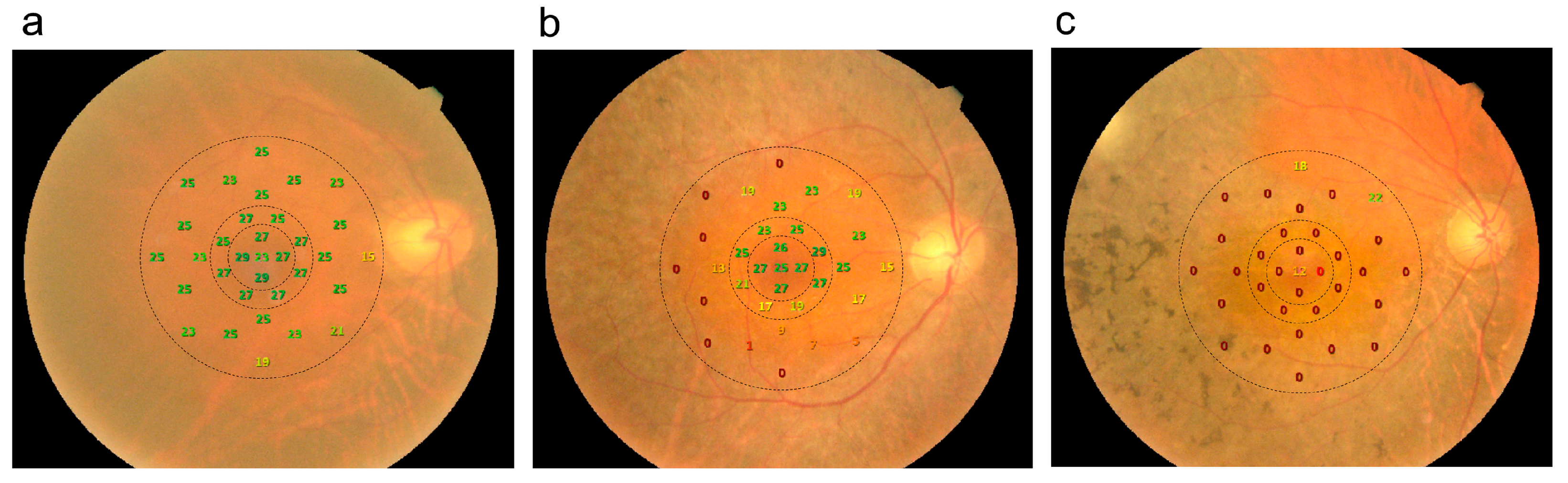 Diagnostics 14 02691 g001