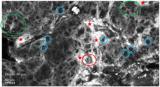 Diagnostics 14 02717 g002