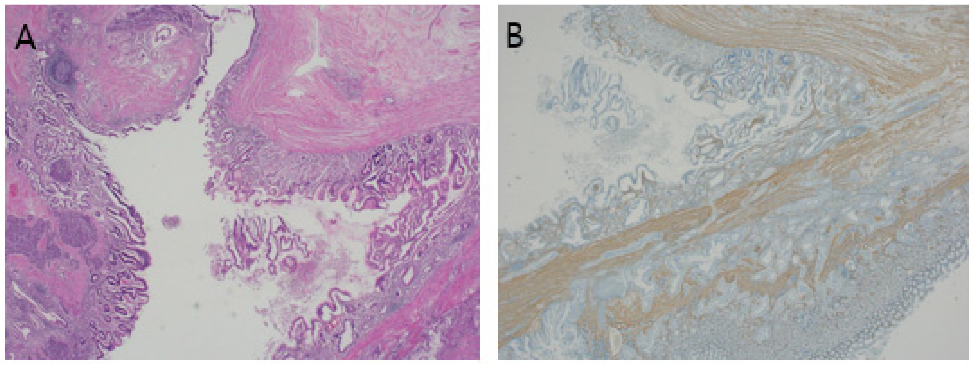 Diagnostics 14 02727 g003