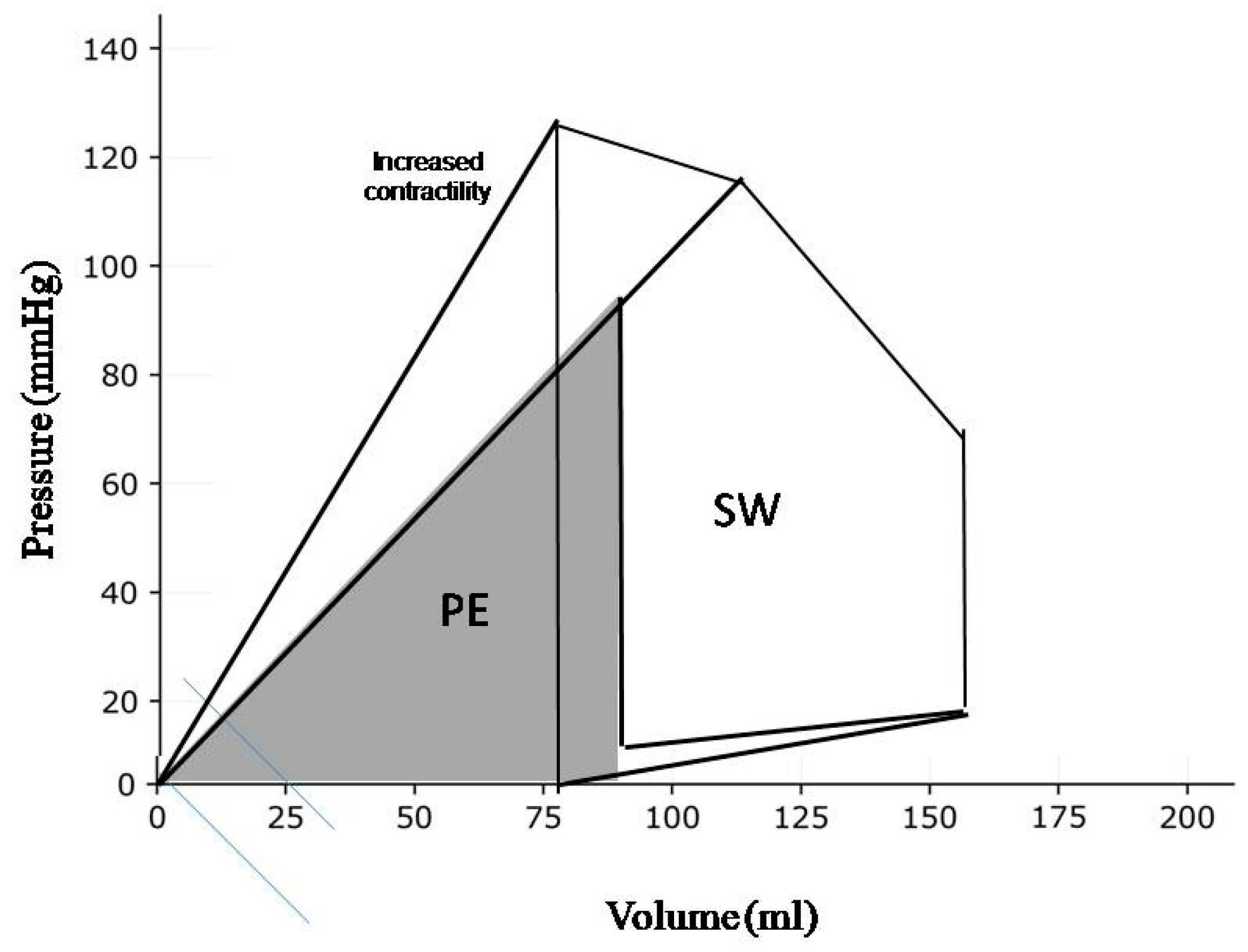 Diagnostics 14 02730 g001 Diagnostics 14 02730 g001