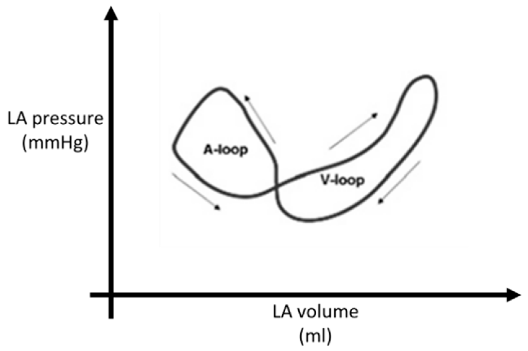 Diagnostics 14 02730 g005 Diagnostics 14 02730 g005