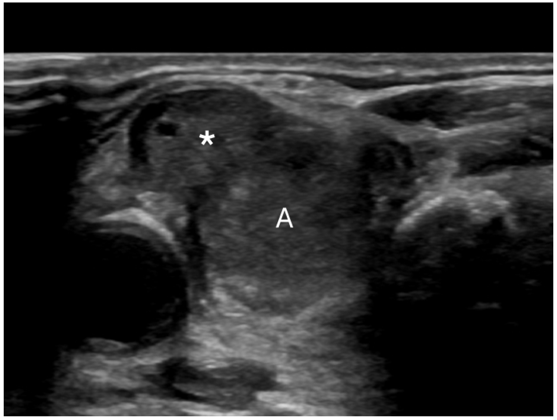 Diagnostics 14 02775 g005