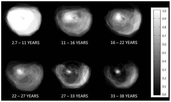 Diagnostics 14 02797 g001