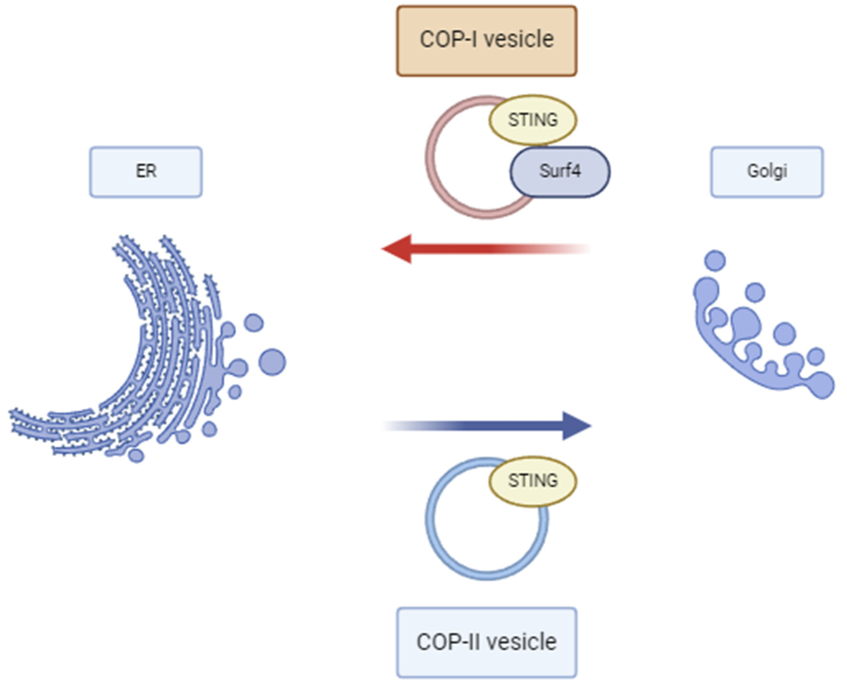 Diagnostics 14 02819 g001