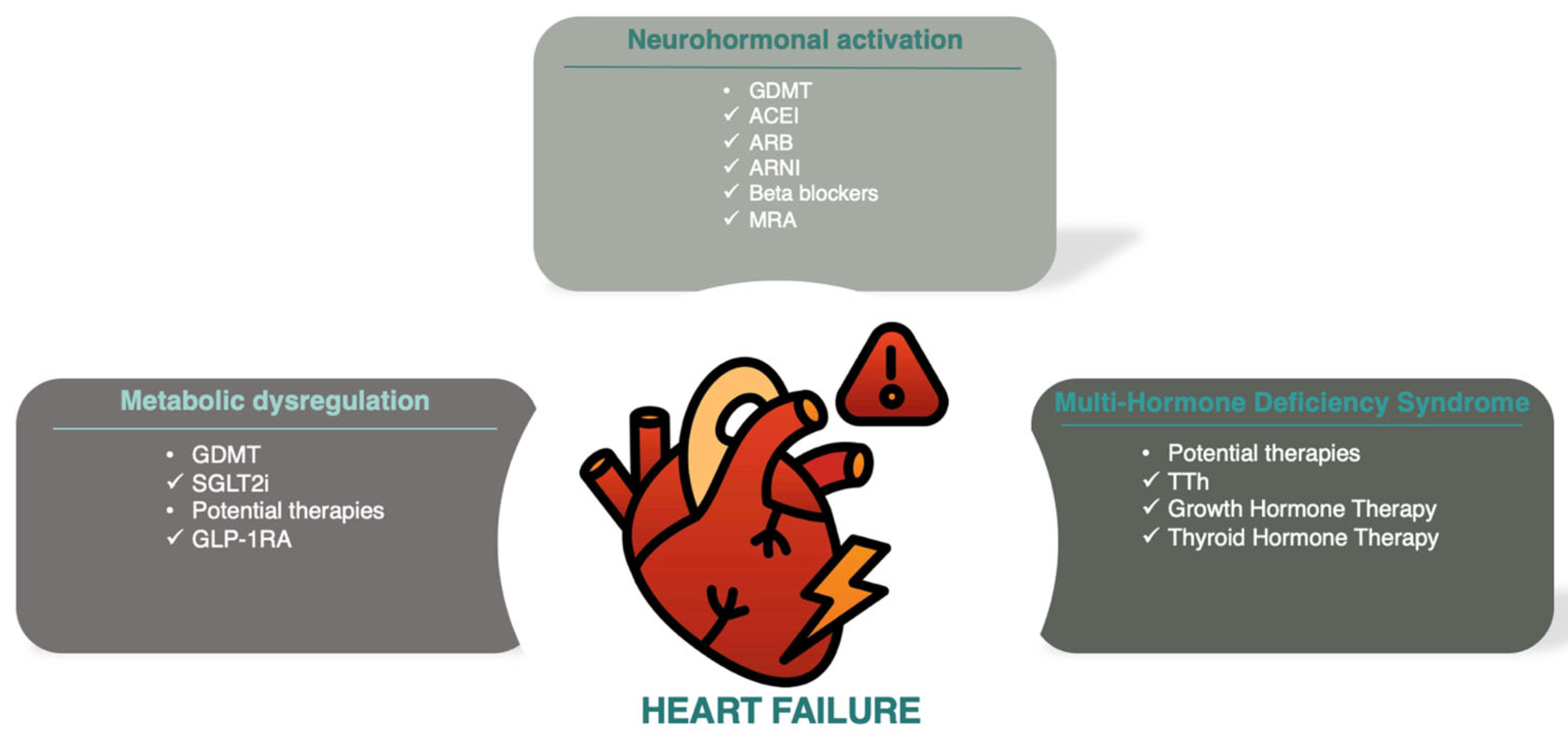Diagnostics 14 02831 g001