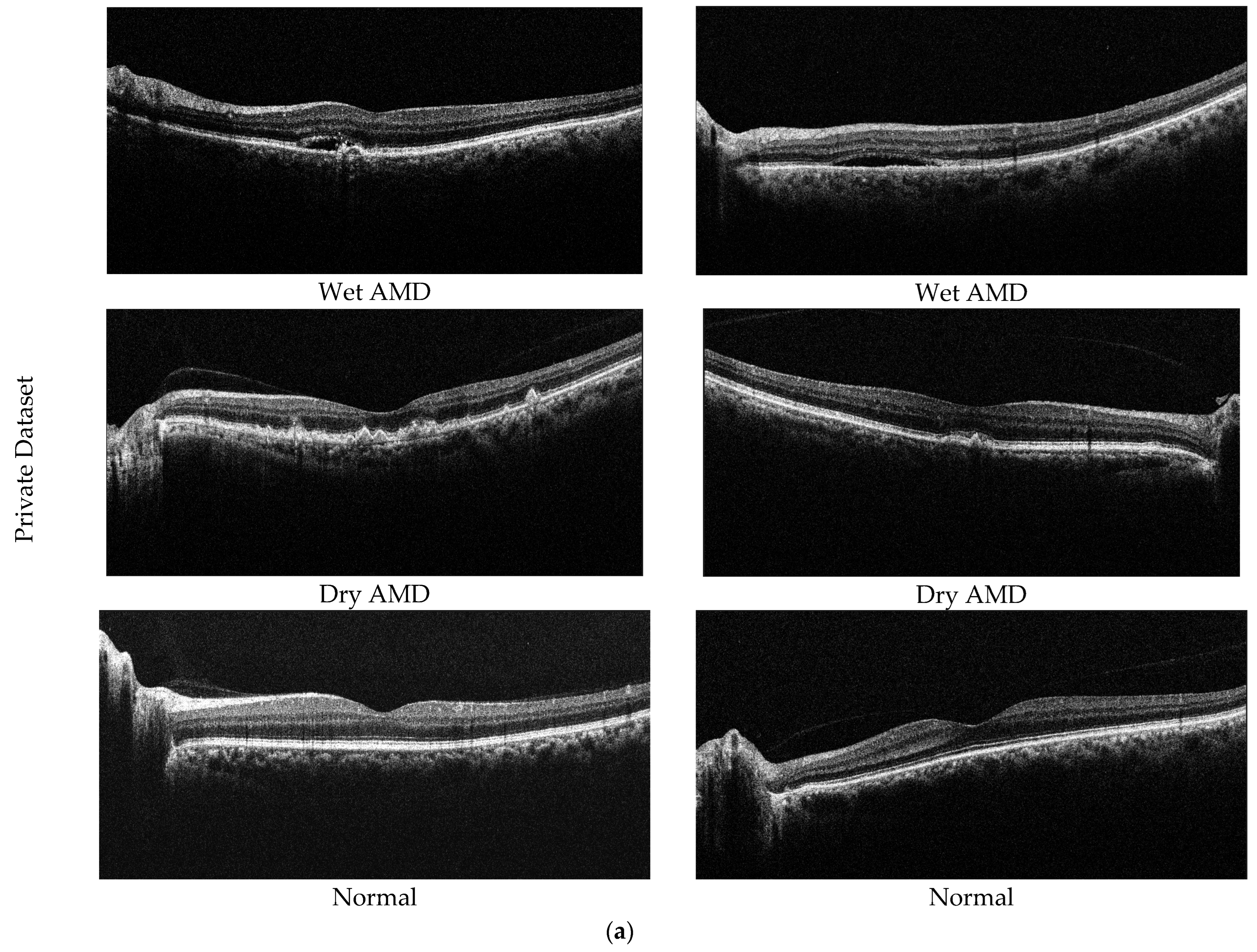 Diagnostics 14 02836 g005a