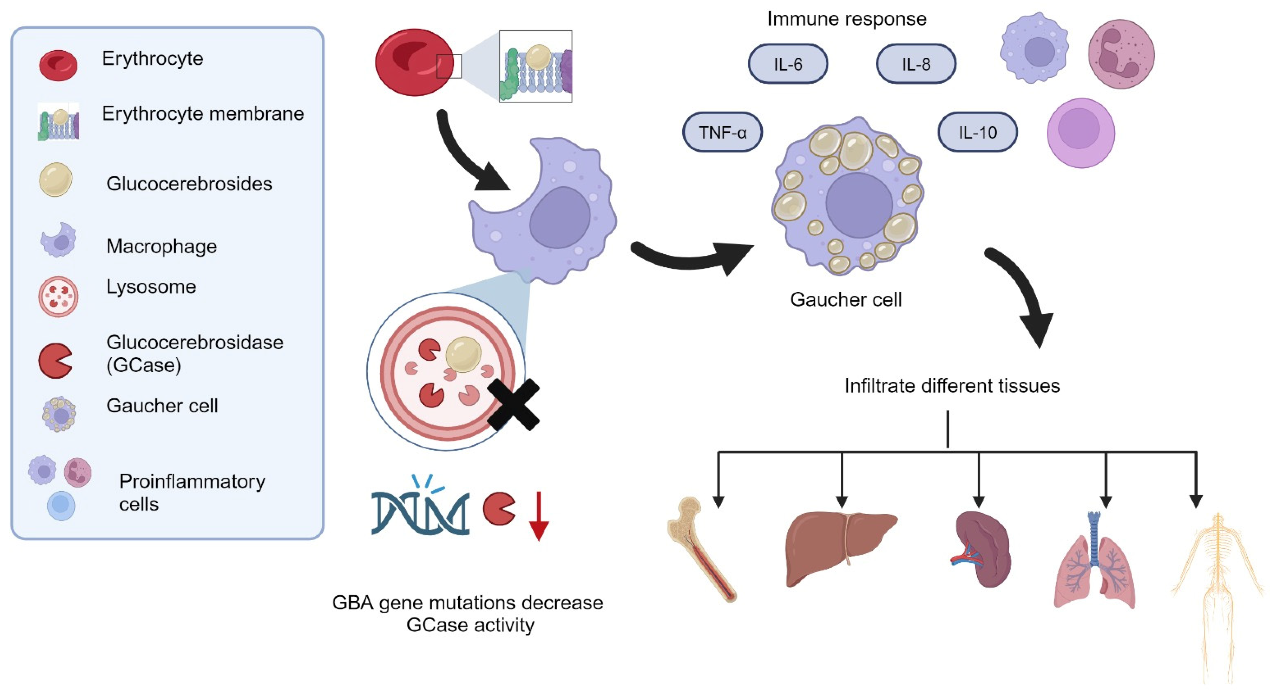 Diagnostics 14 02840 g001