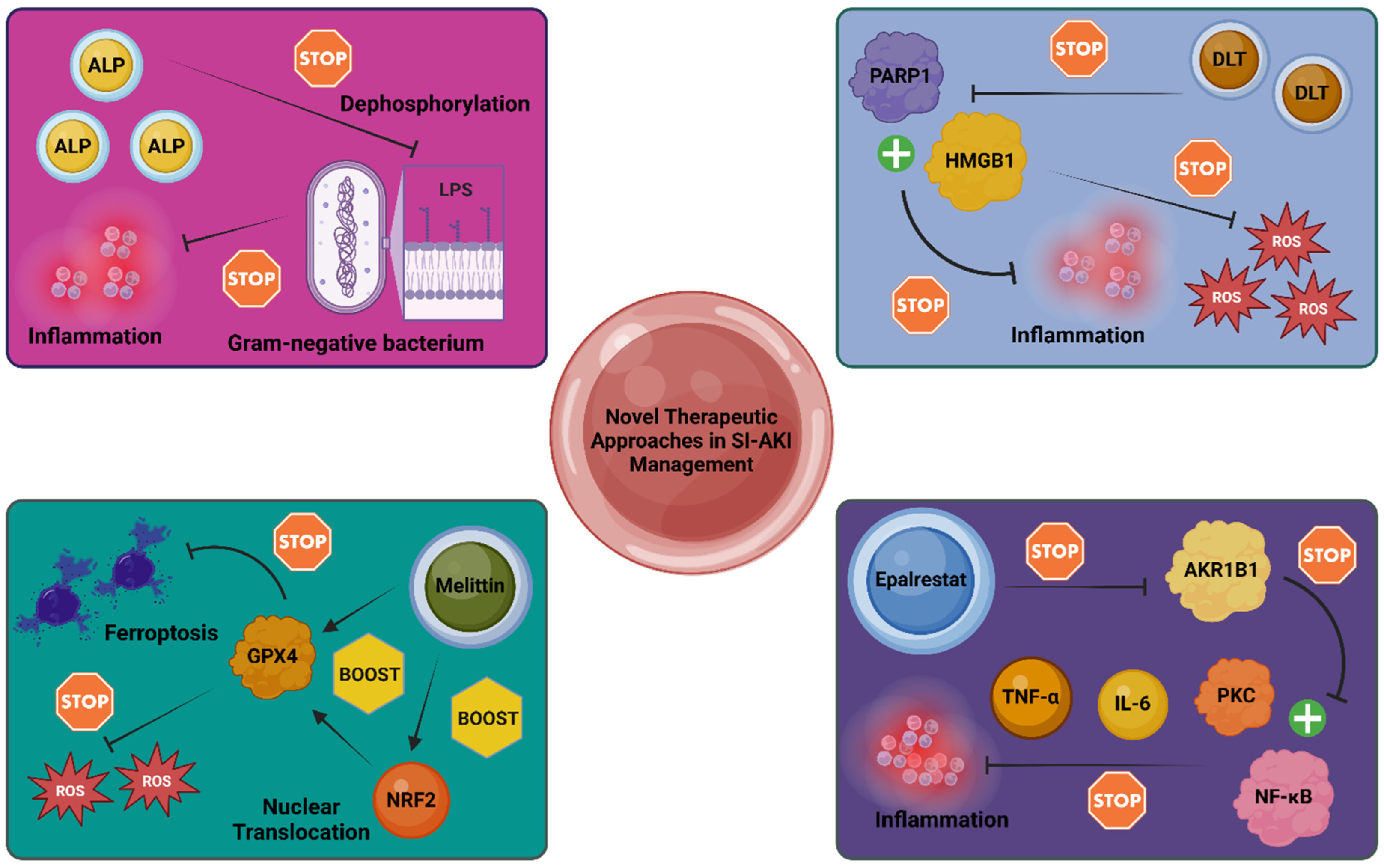 Diagnostics 14 02845 g002
