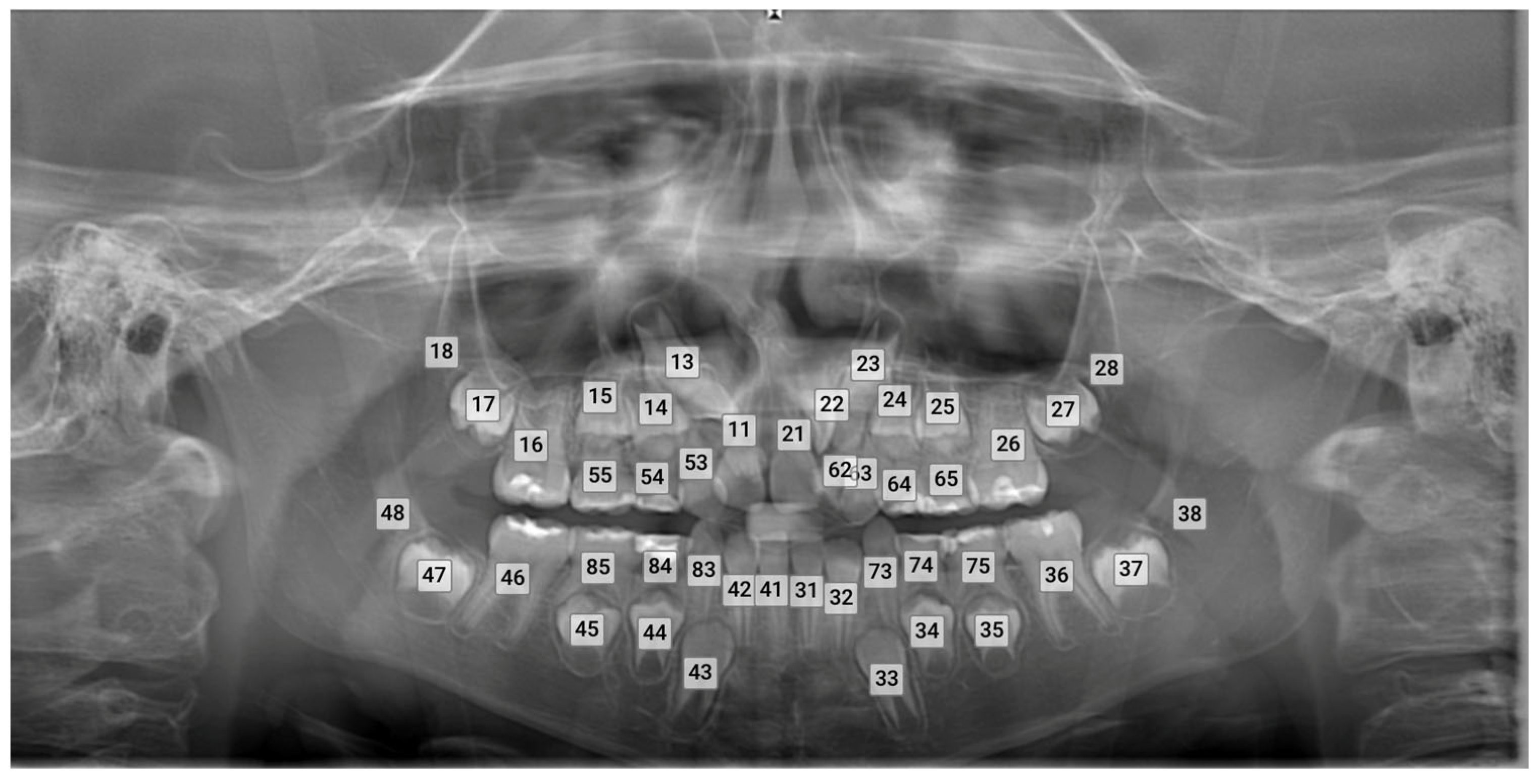 Diagnostics 14 02849 g001