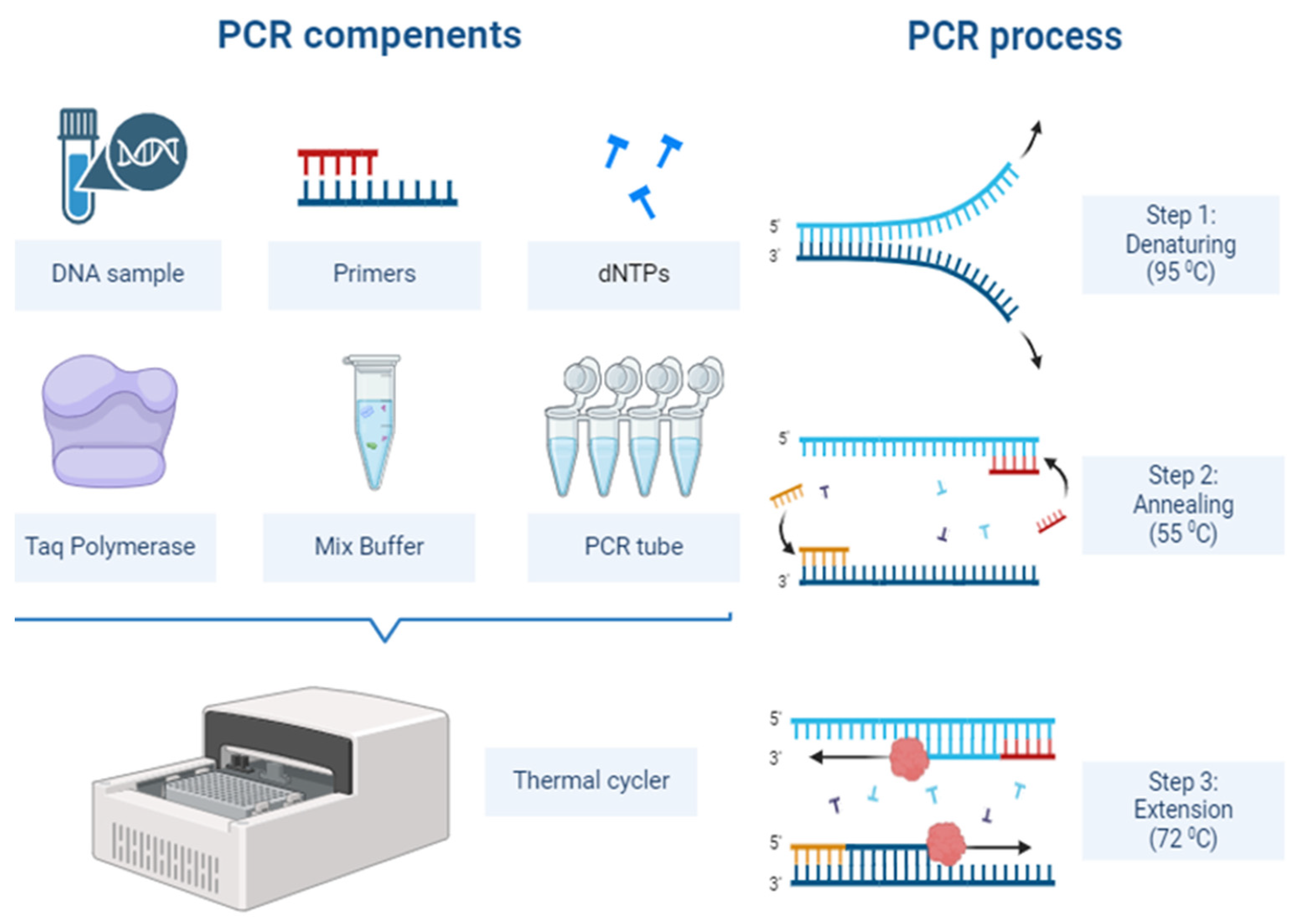 Diagnostics 14 02876 g001
