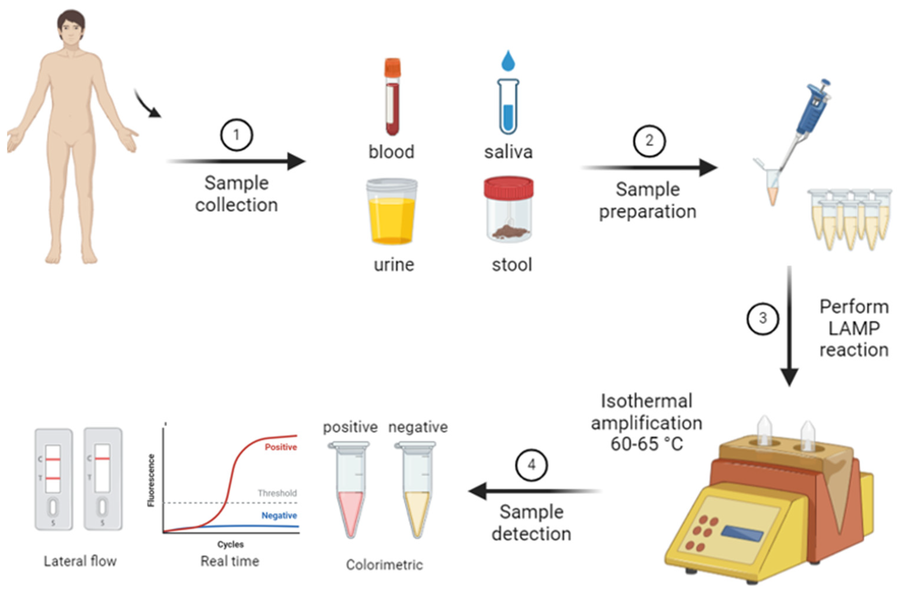 Diagnostics 14 02876 g002