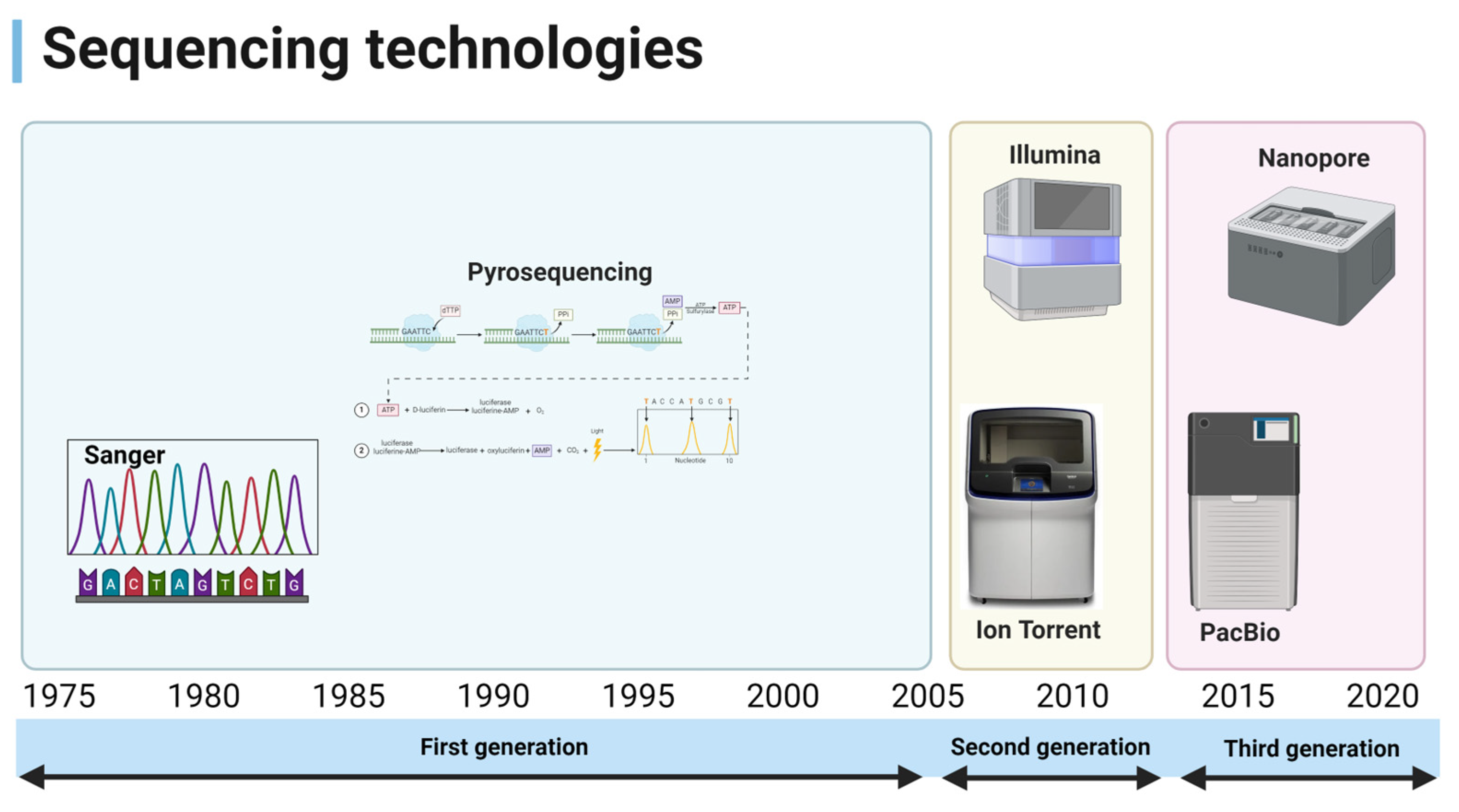 Diagnostics 14 02876 g003