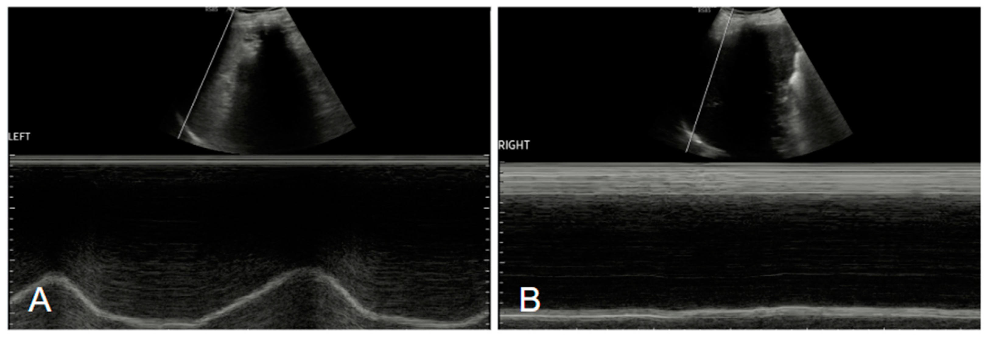Diagnostics 15 00002 g003