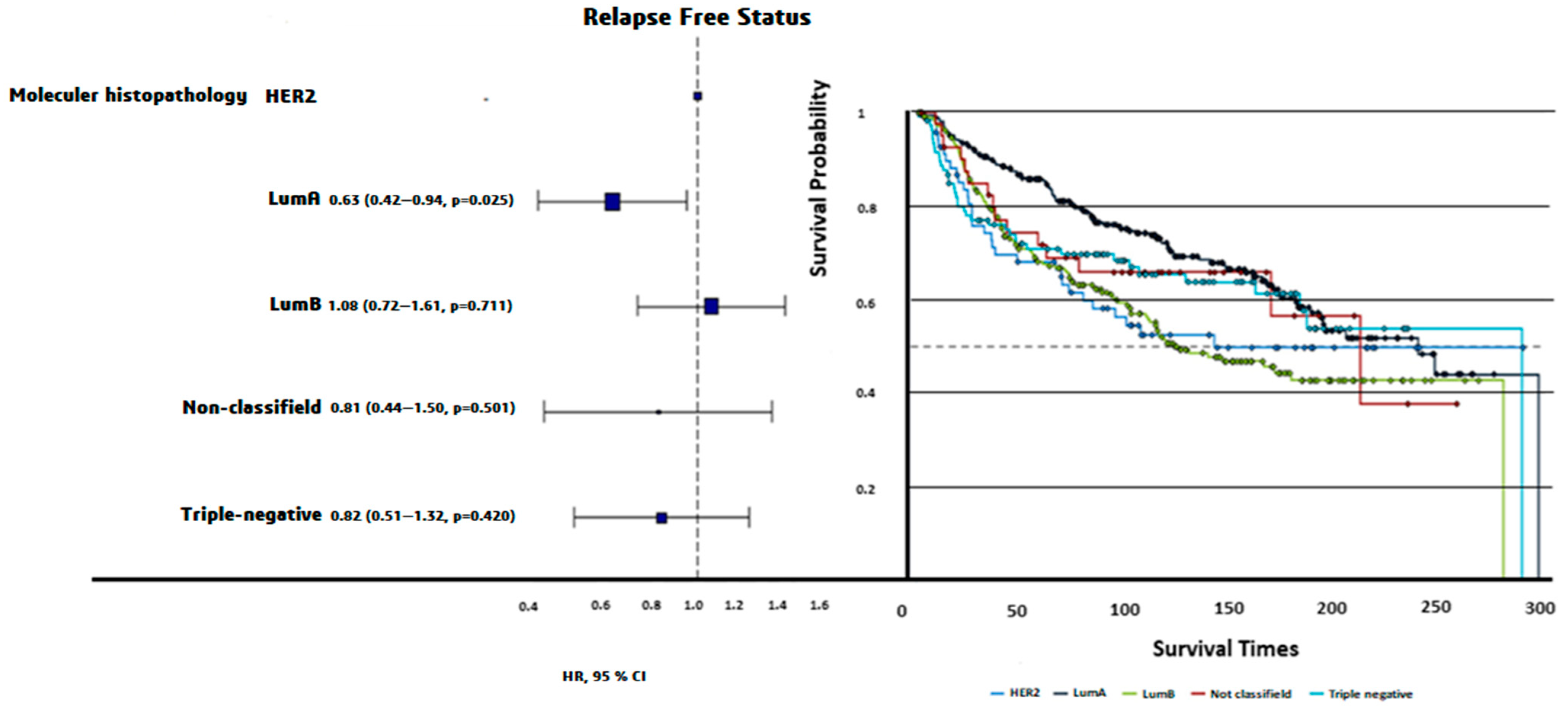 Diagnostics 15 00013 g003