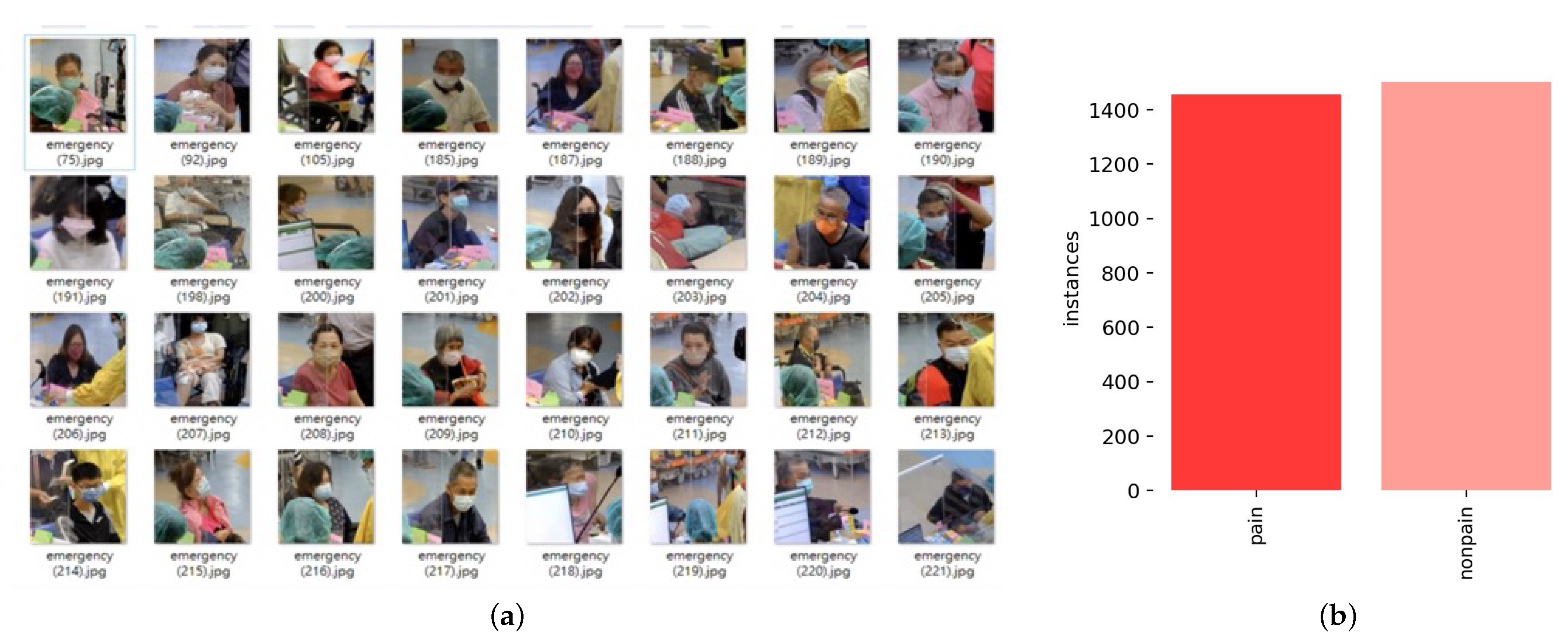 Diagnostics 15 00017 g003