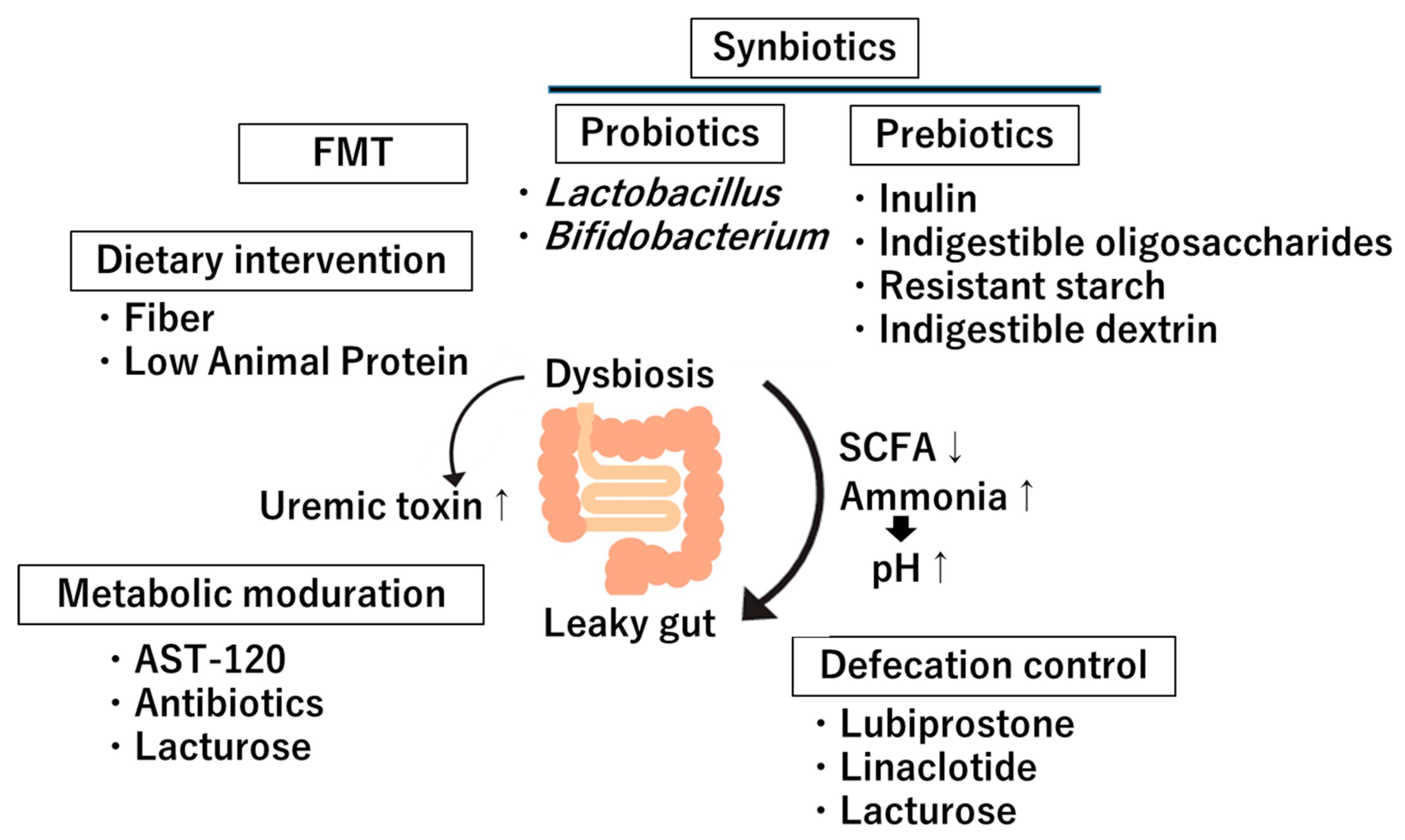 Diagnostics 15 00021 g003
