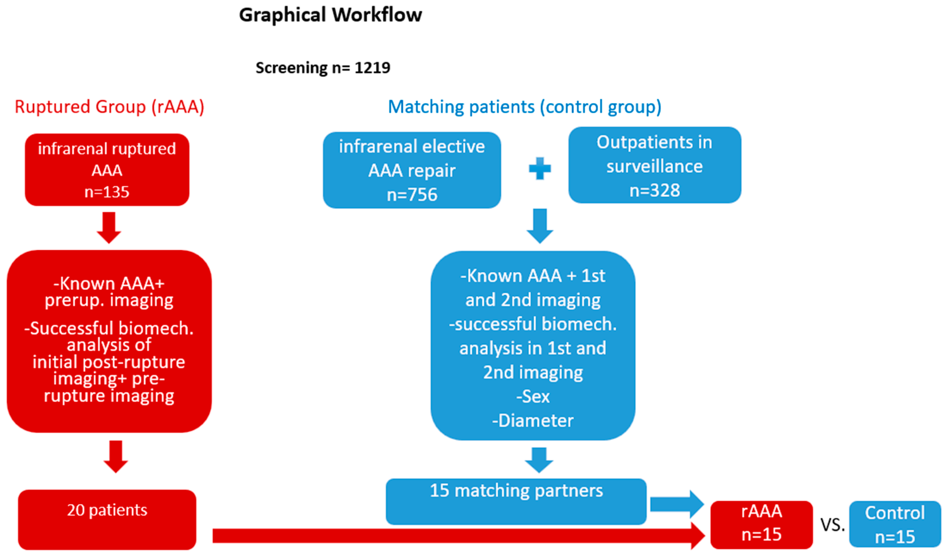 Diagnostics 15 00025 g001