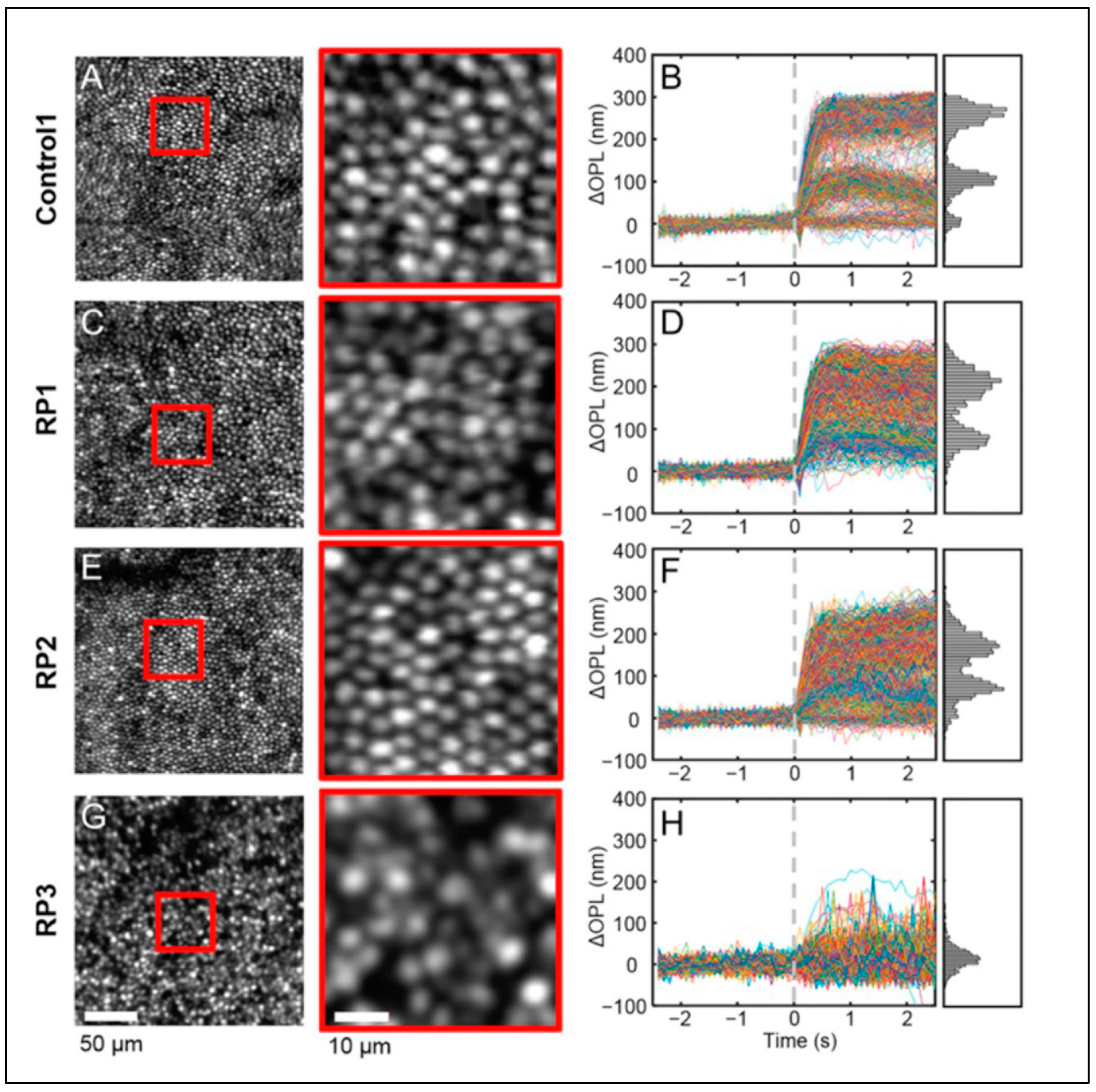 Diagnostics 15 00028 g006