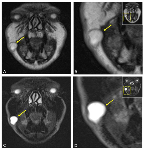 Diagnostics 15 00033 g004