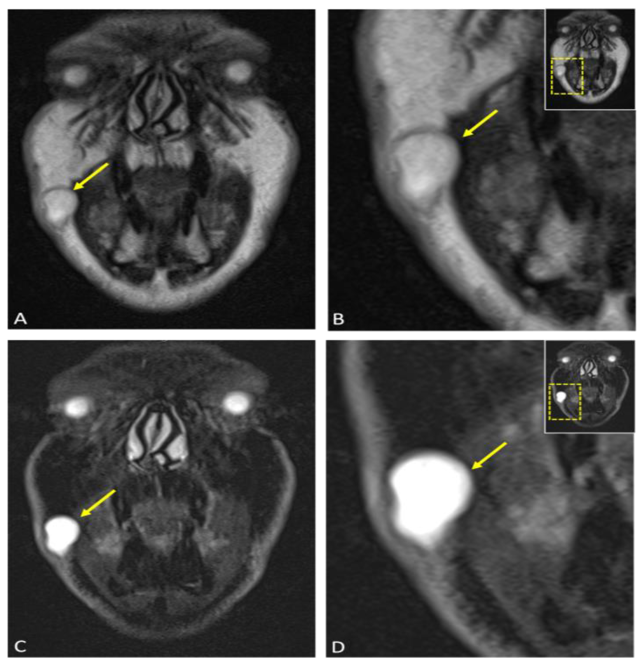 Diagnostics 15 00033 g004