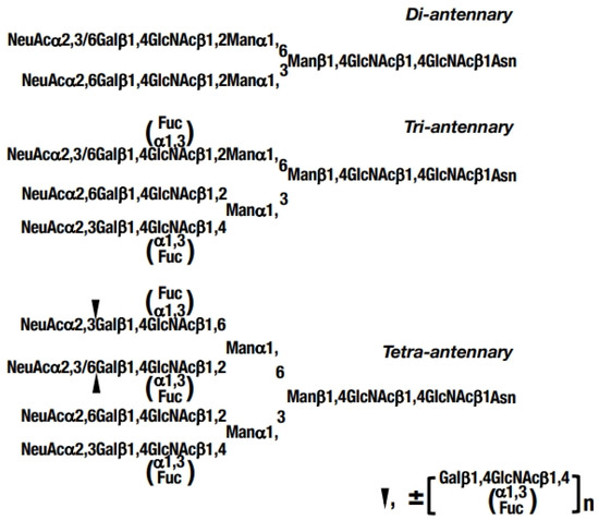 Diagnostics 15 00040 g001
