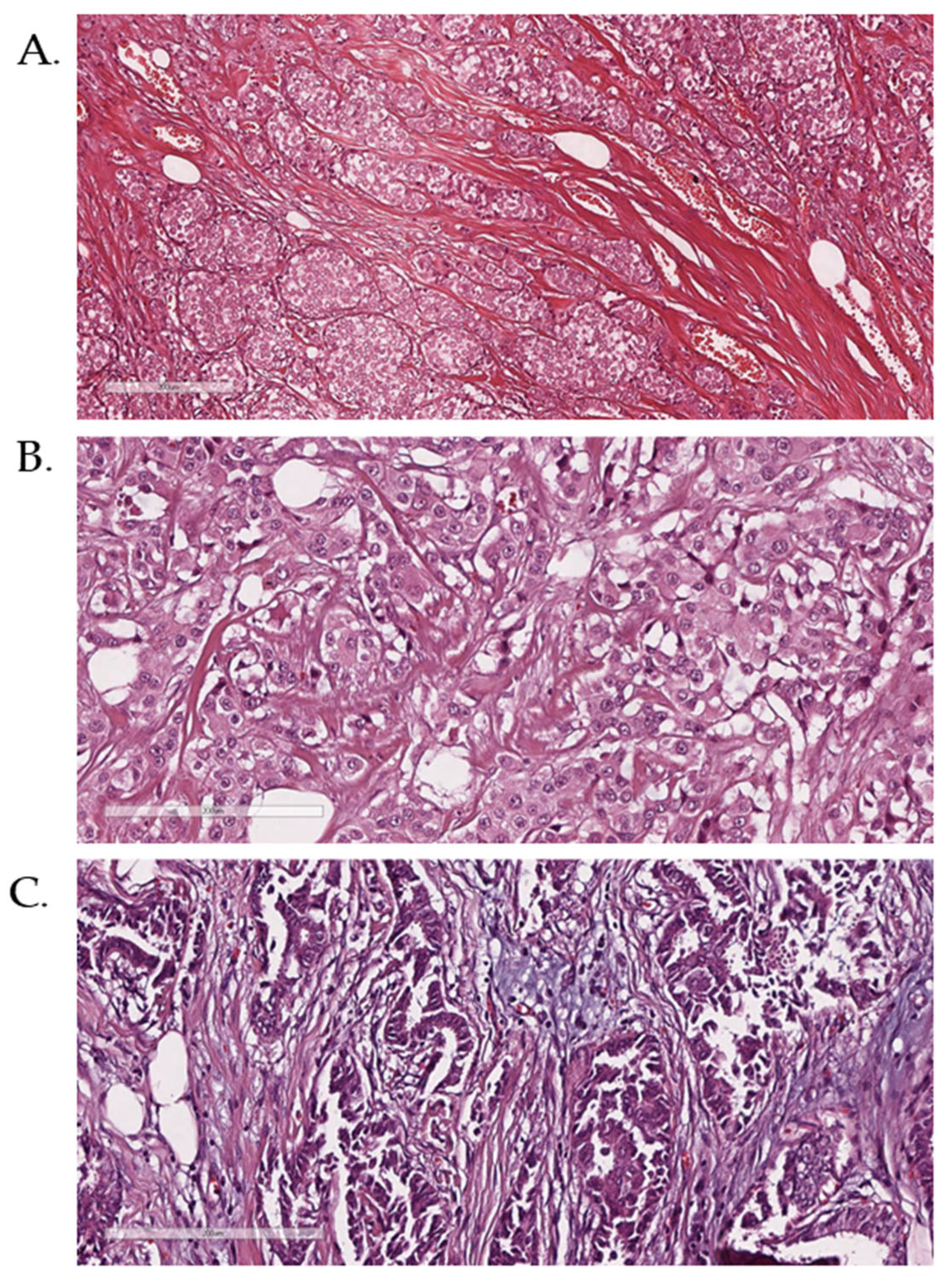 Diagnostics 15 00051 g001 Diagnostics 15 00051 g001