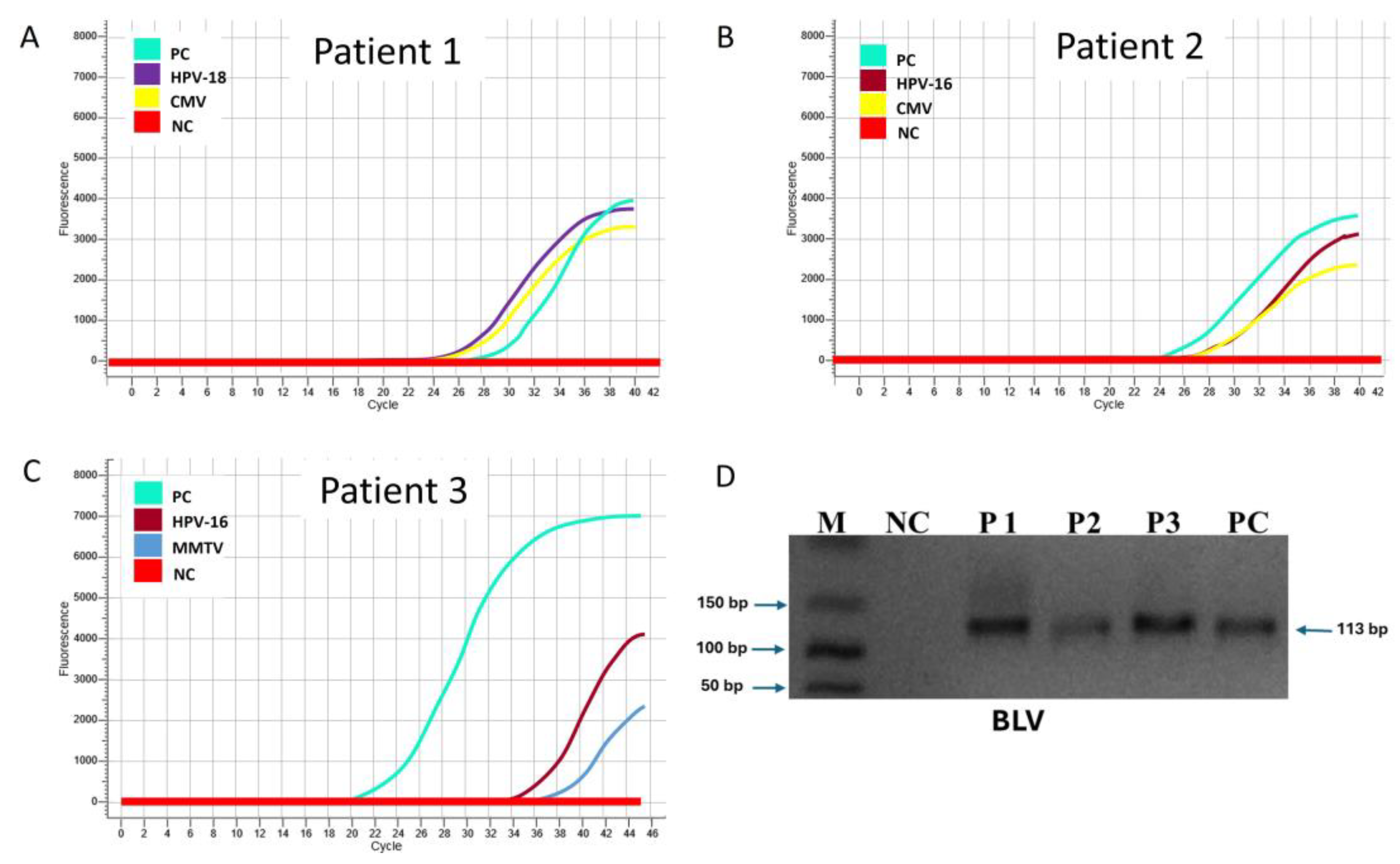 Diagnostics 15 00051 g002 Diagnostics 15 00051 g002