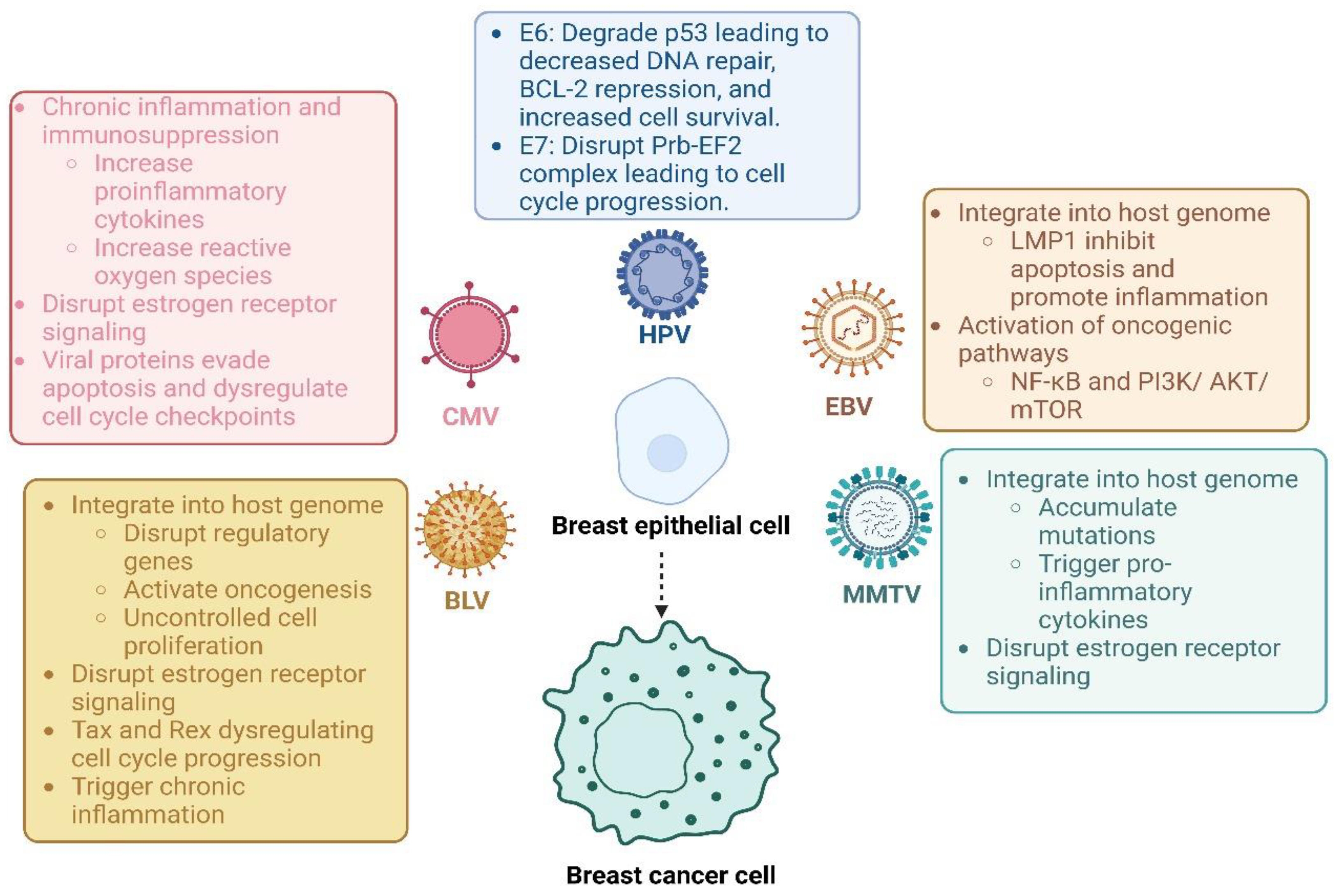 Diagnostics 15 00051 g004 Diagnostics 15 00051 g004