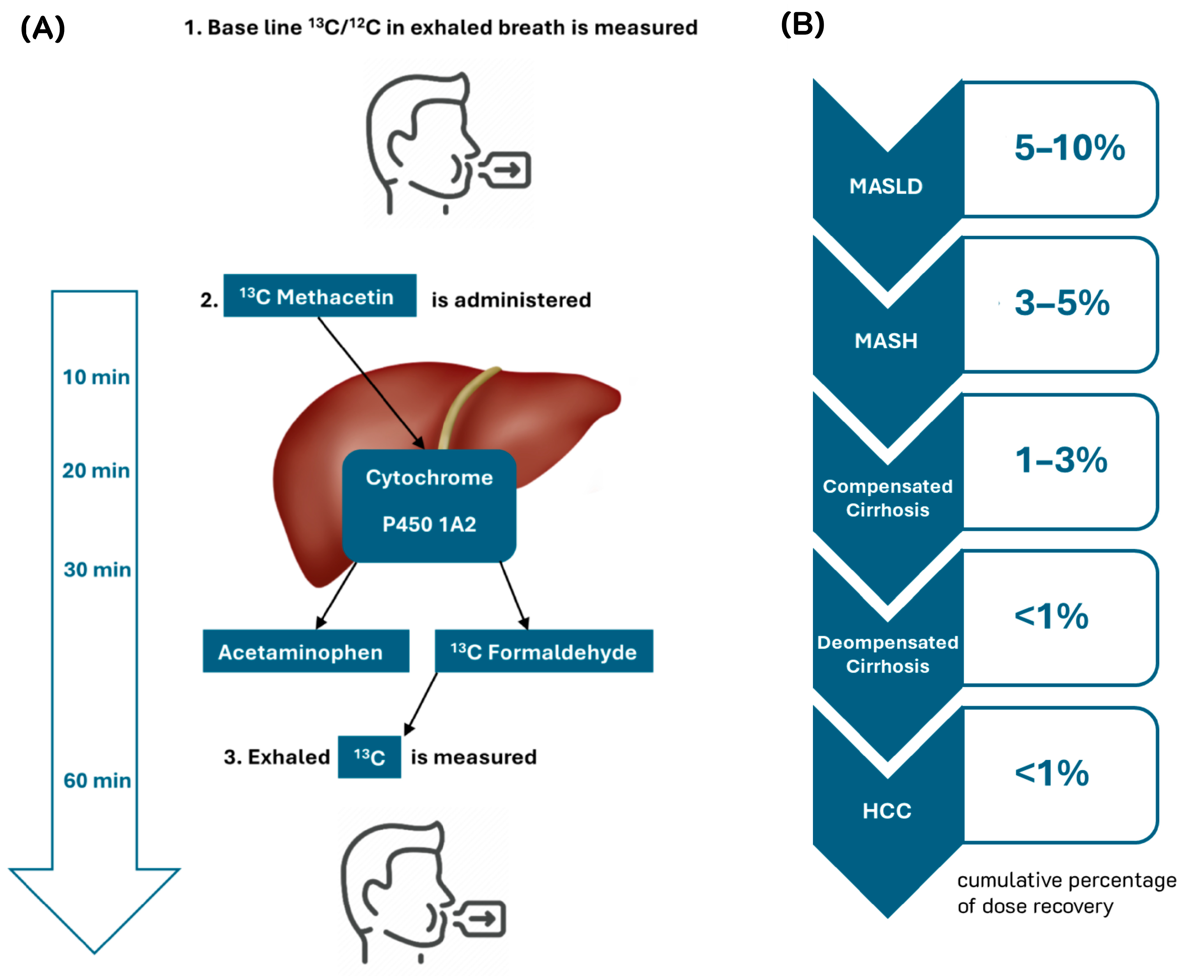 Diagnostics 15 00068 g001