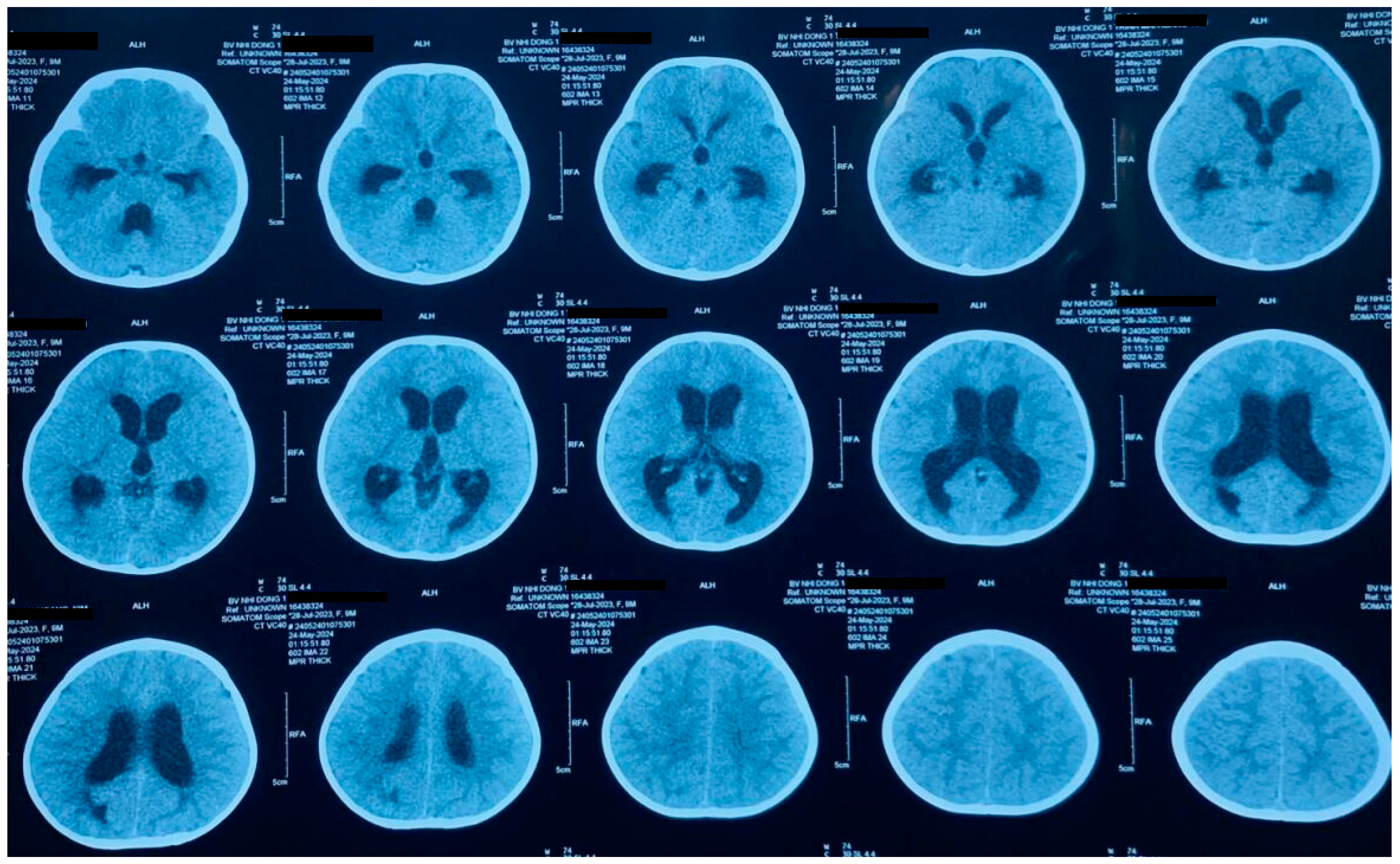 Diagnostics 15 00089 g001