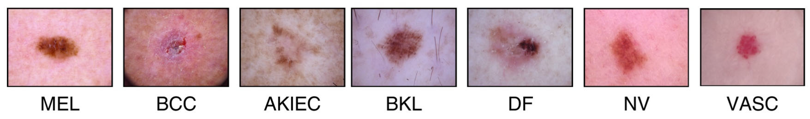 Diagnostics 15 00099 g002