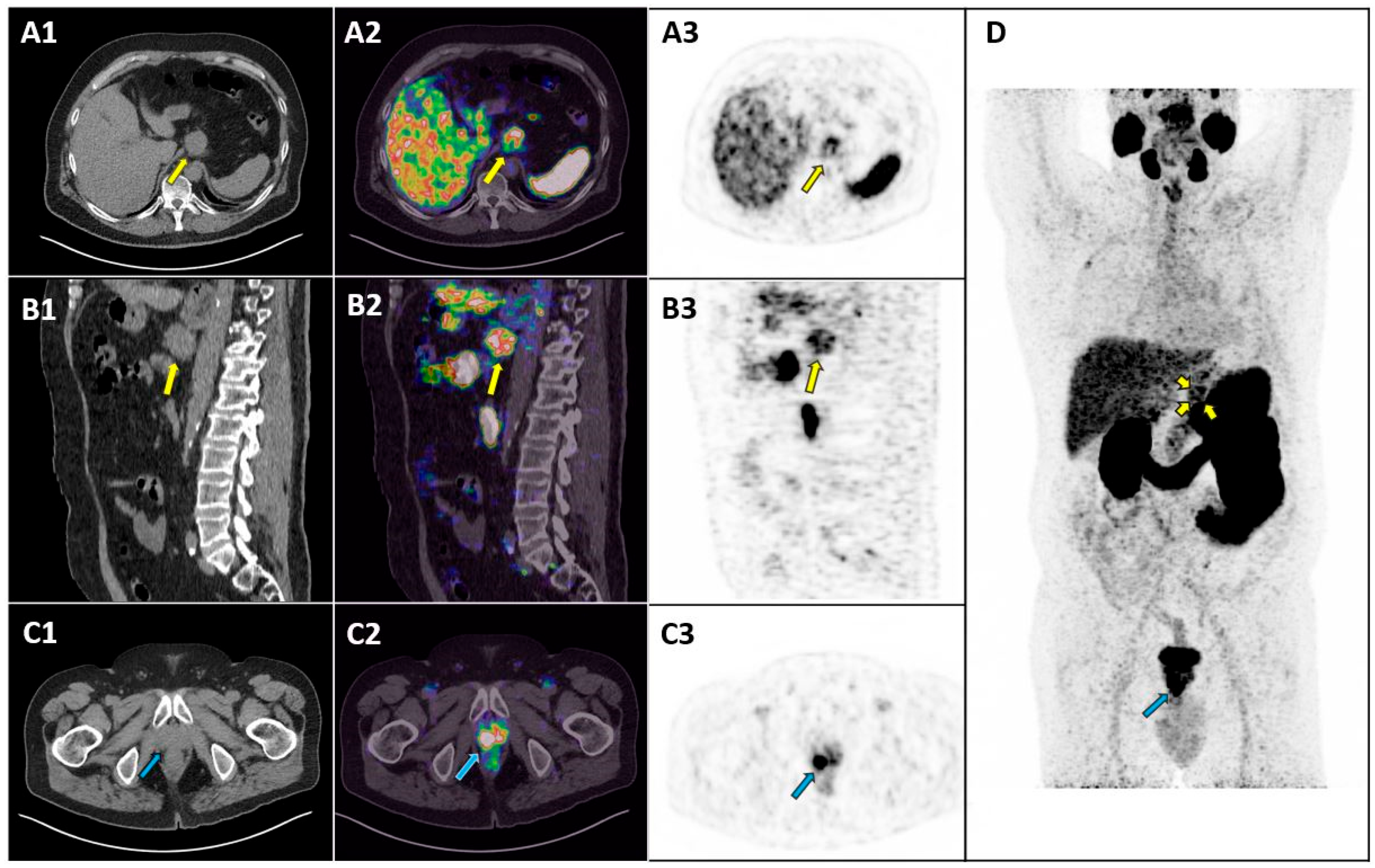 Diagnostics 15 00101 g001