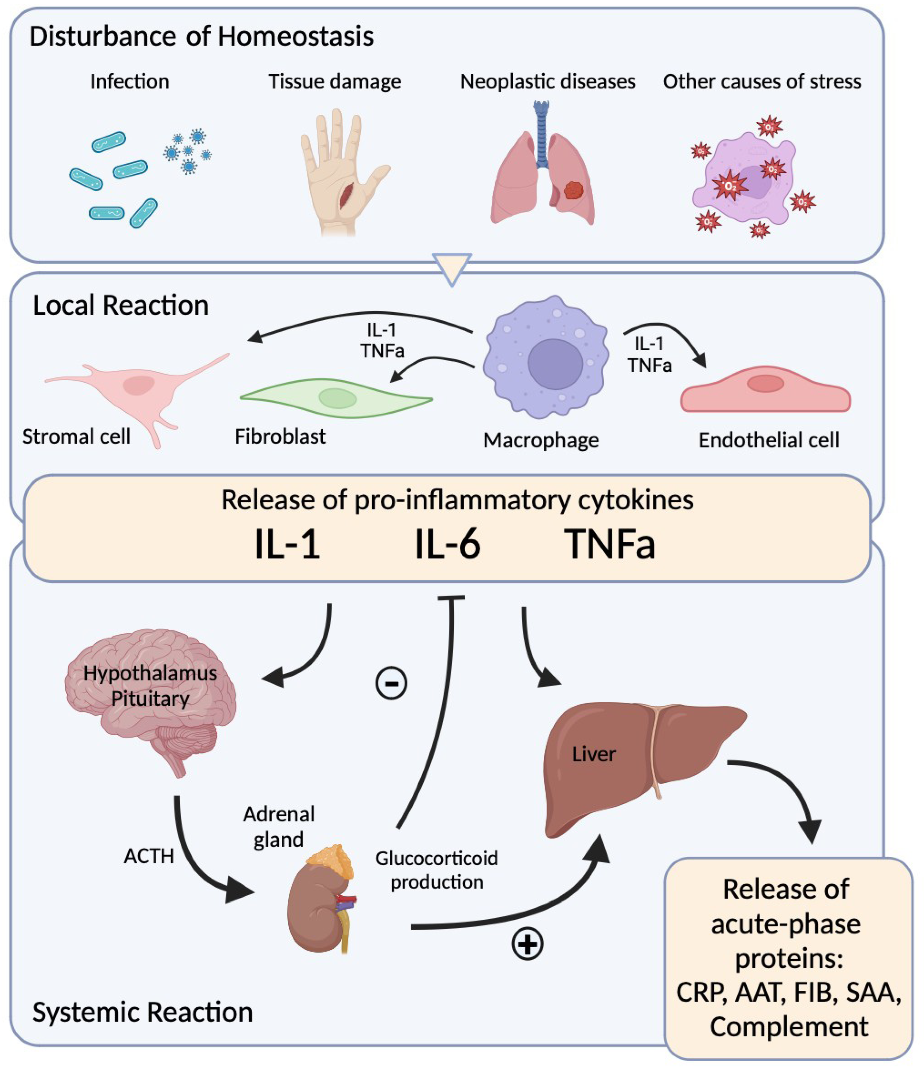 Diagnostics 15 00145 g001