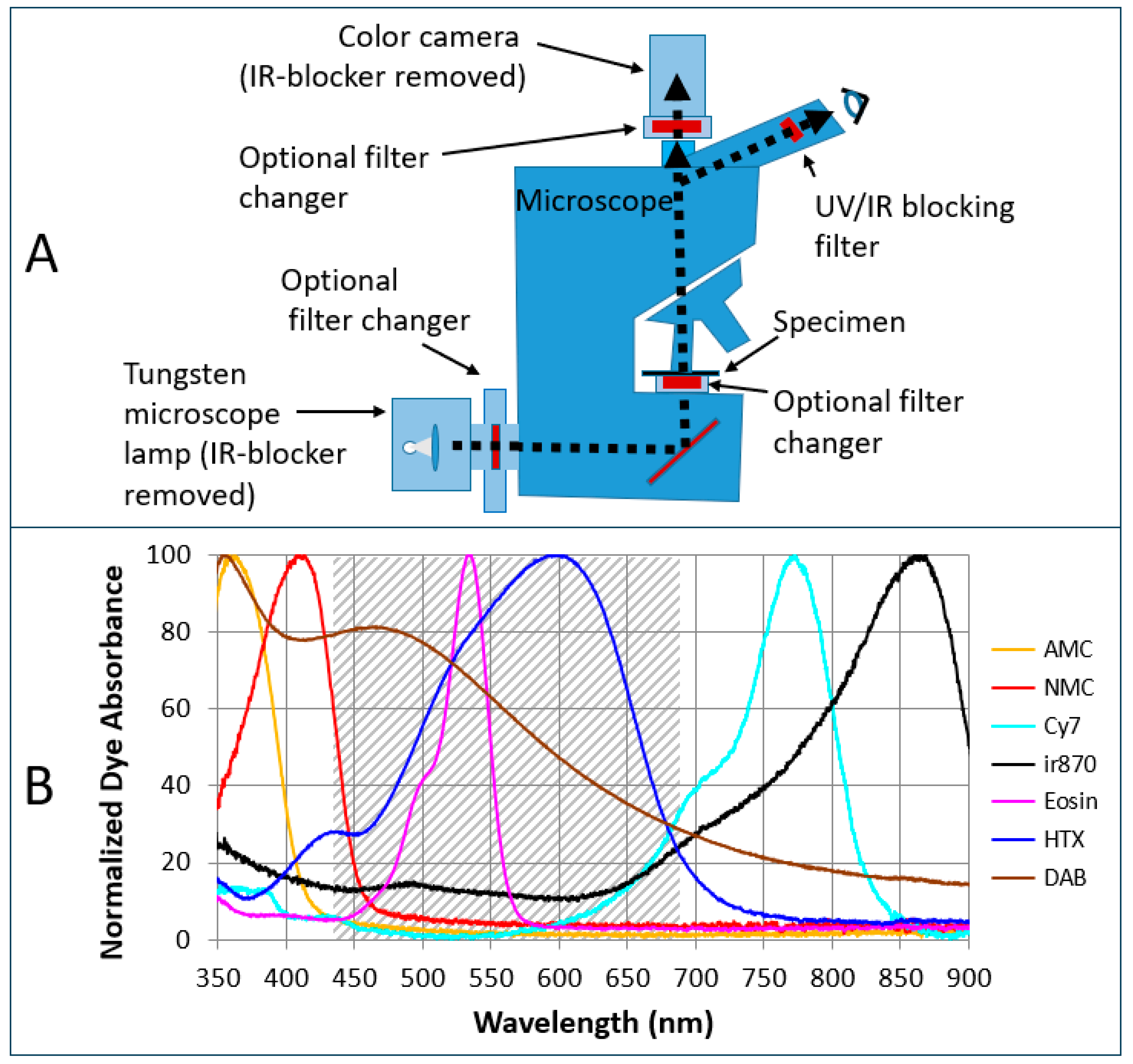 Diagnostics 15 00164 g001 Diagnostics 15 00164 g001