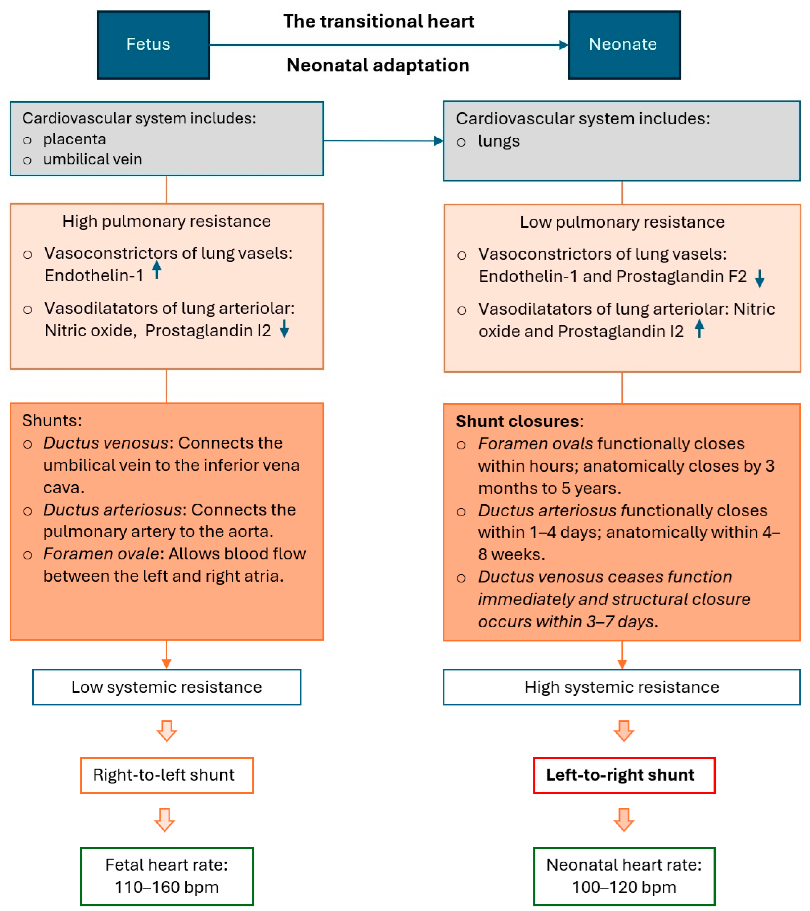 Diagnostics 15 00165 g001