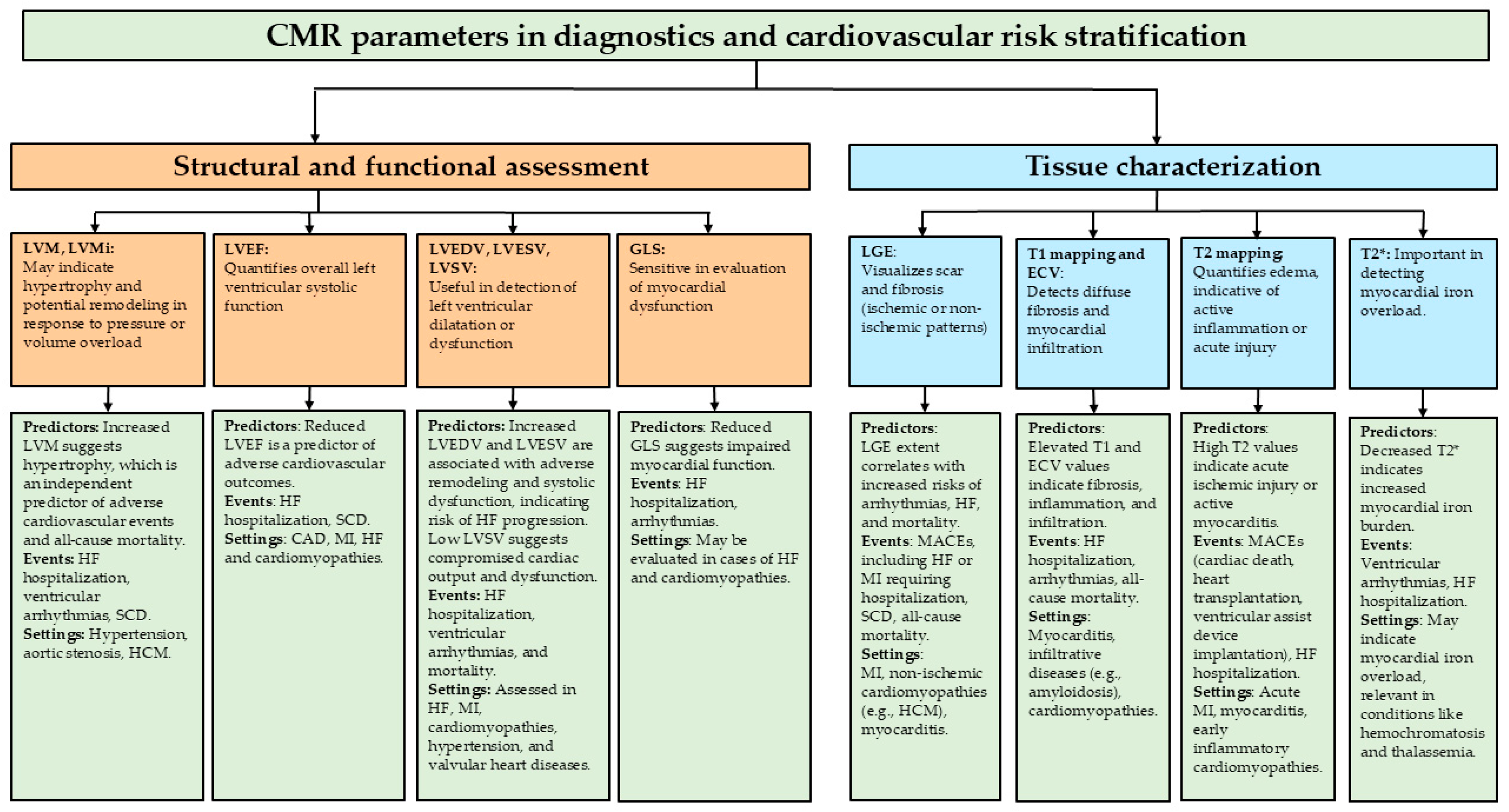 Diagnostics 15 00178 g006