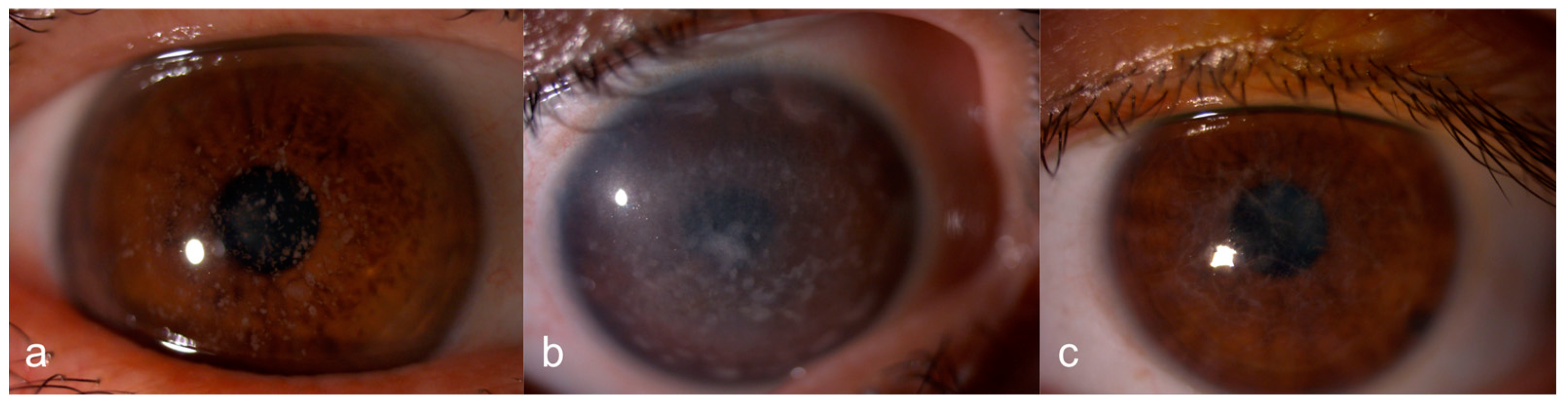 Diagnostics 15 00182 g001