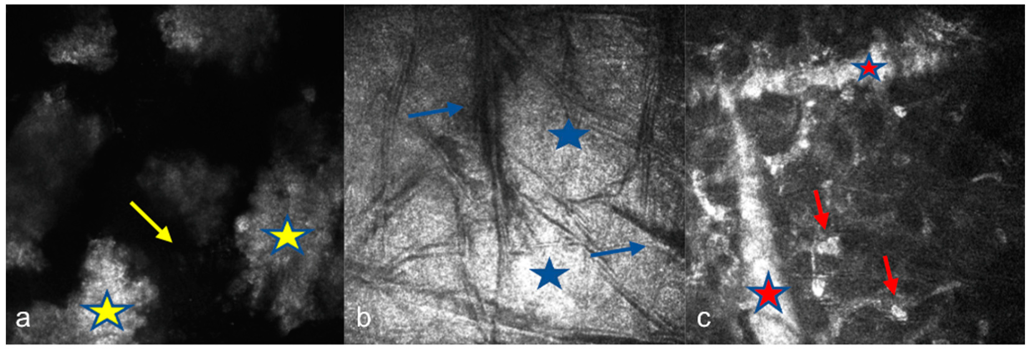 Diagnostics 15 00182 g002
