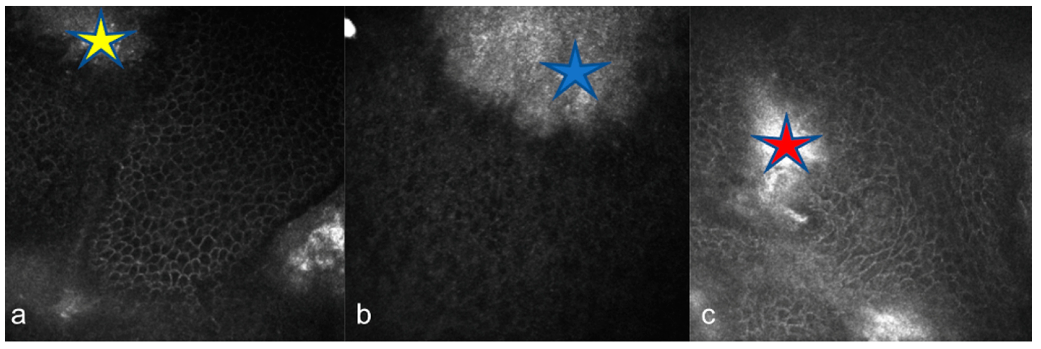 Diagnostics 15 00182 g003